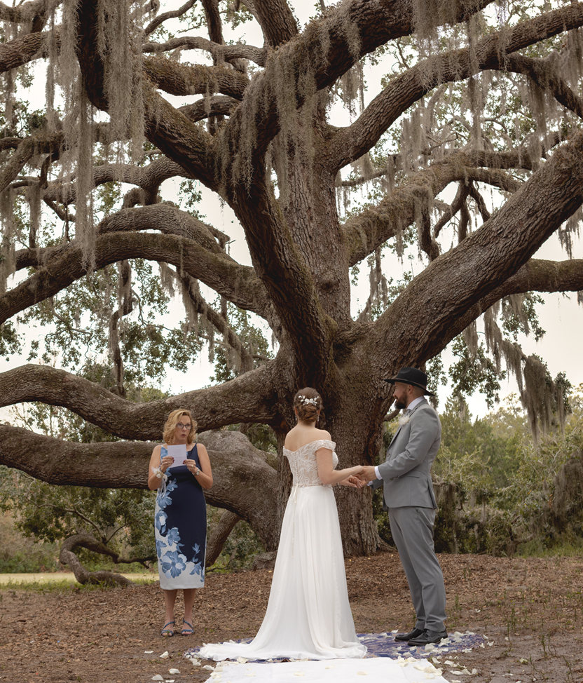 My Wedding Day