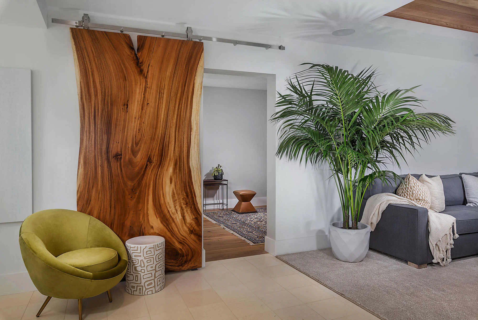 Modern living room with a large wooden sliding door, green armchair, decorative side table, large indoor plant, gray sofa with pillows, and a beige carpet.