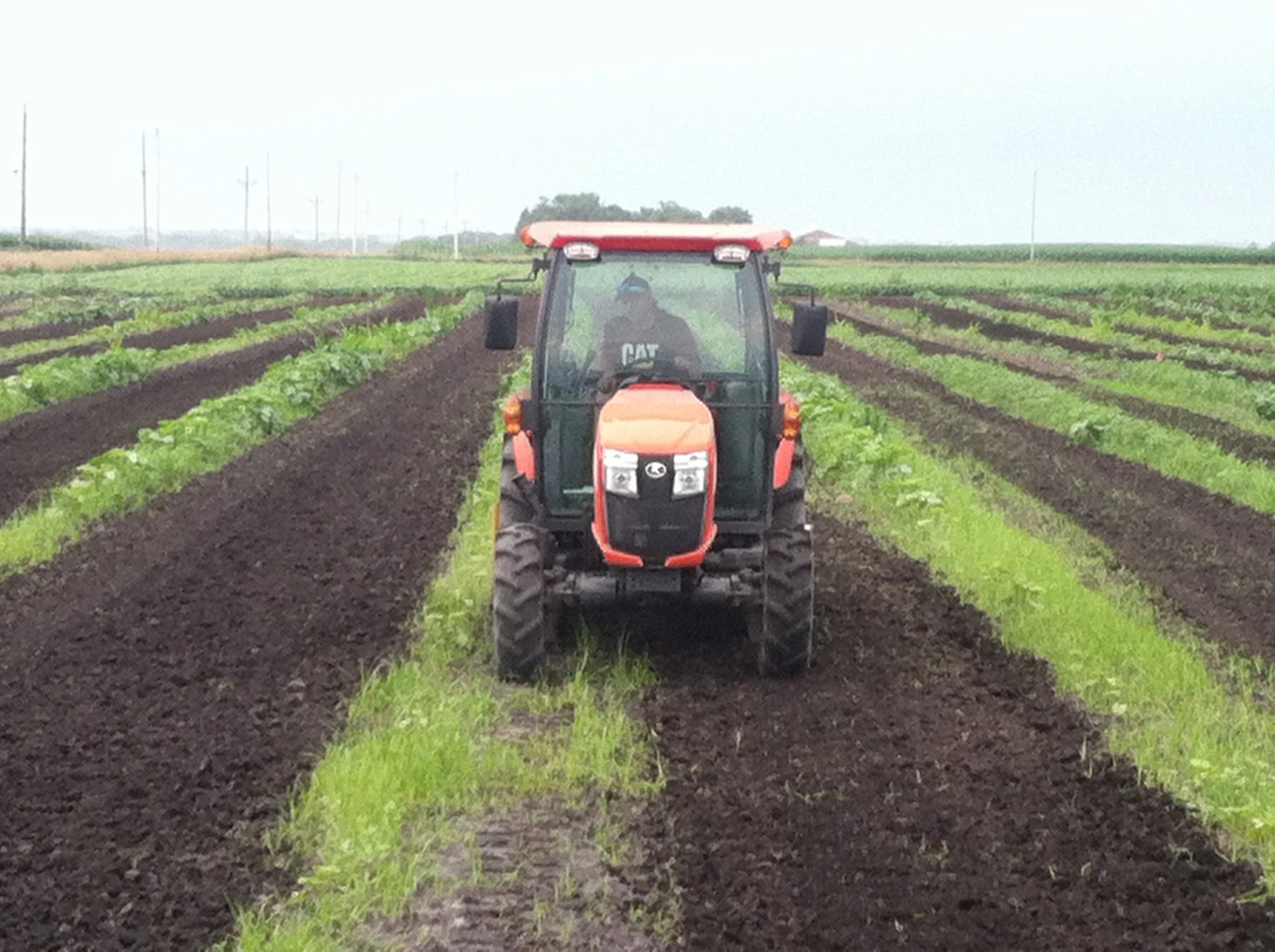 Black's Heritage Farm