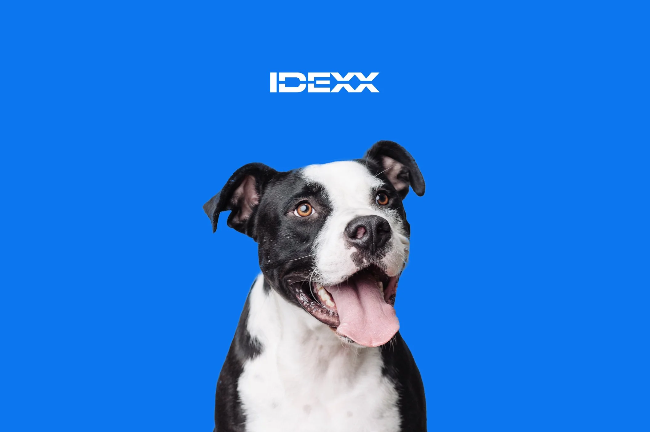 IDEXX