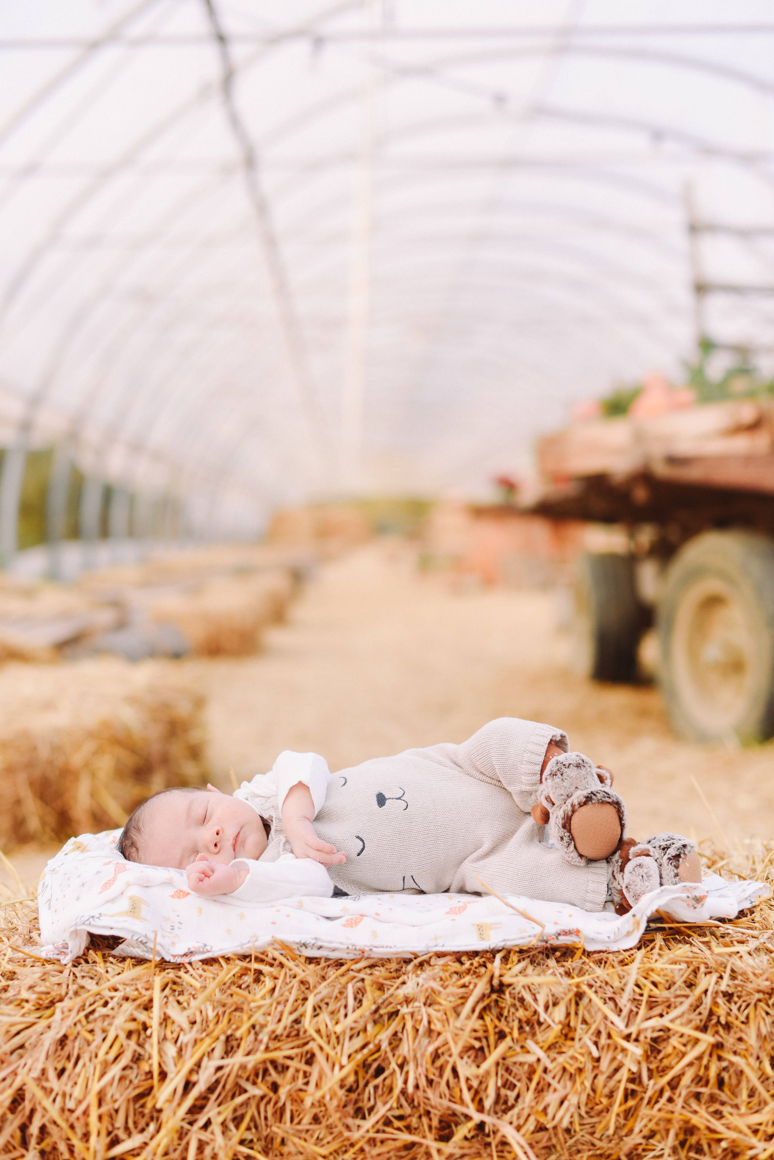 servizio-fotografico-famiglia-maternità-bambini-roma-19.jpg