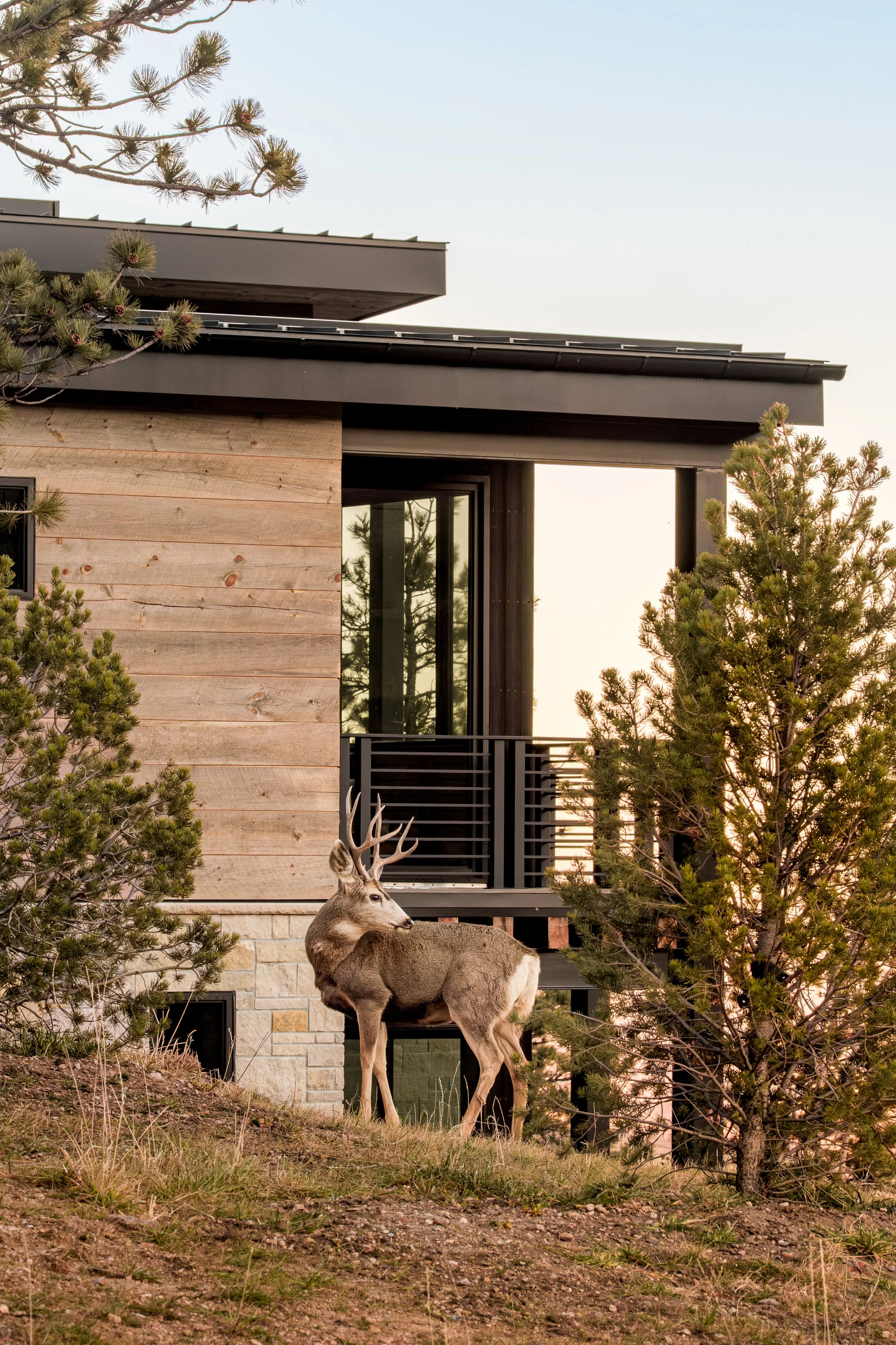 22 N Moffat Rd - nate polta-6.JPEG