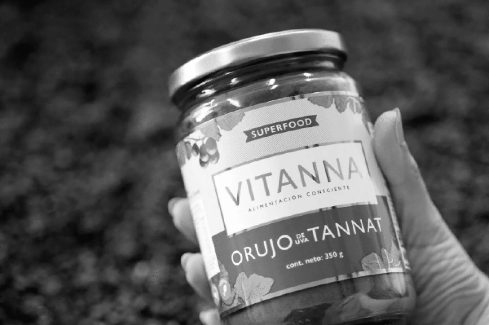 Portfolio web_VItanna.jpg