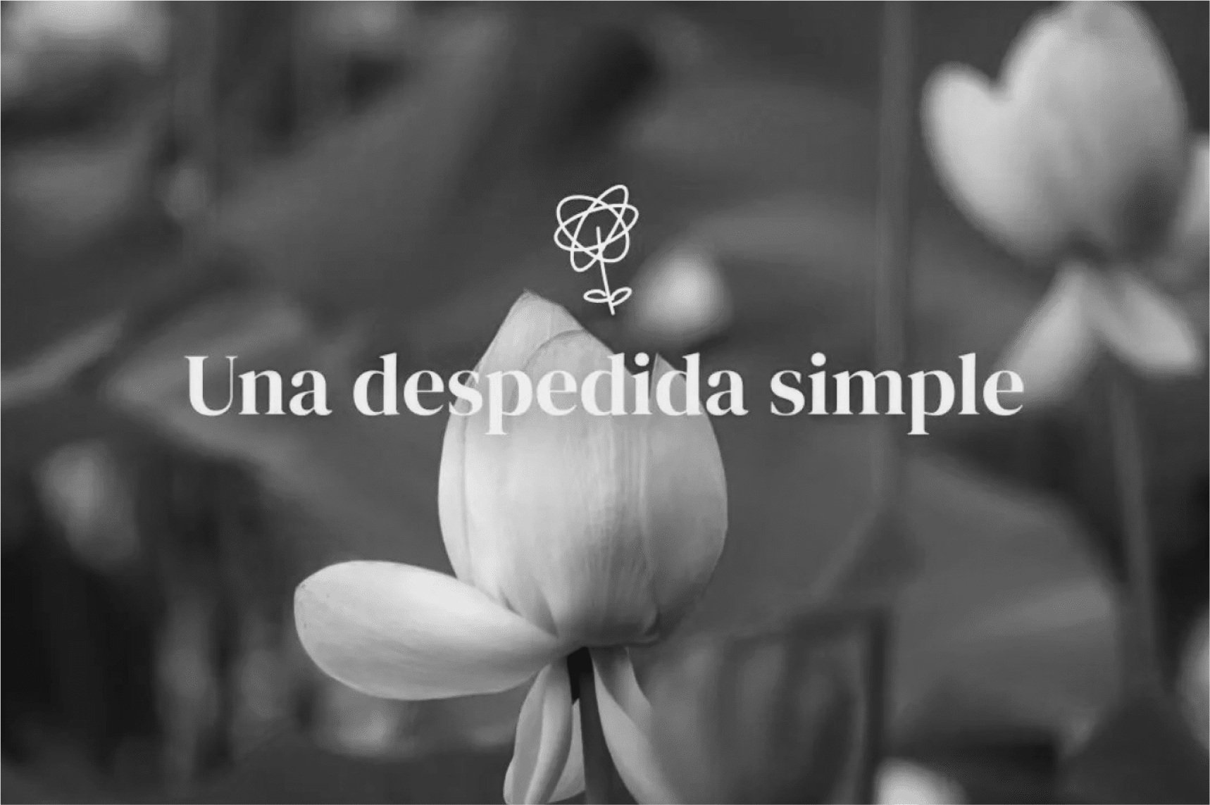 Portfolio web_Memorable.jpg