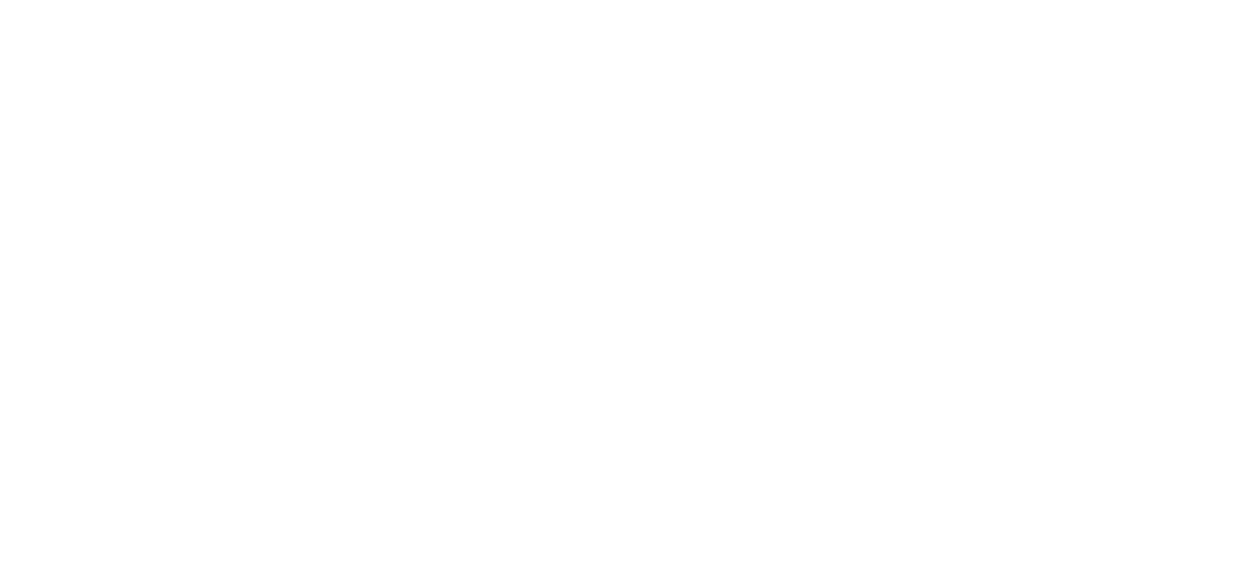 North Face-White.png