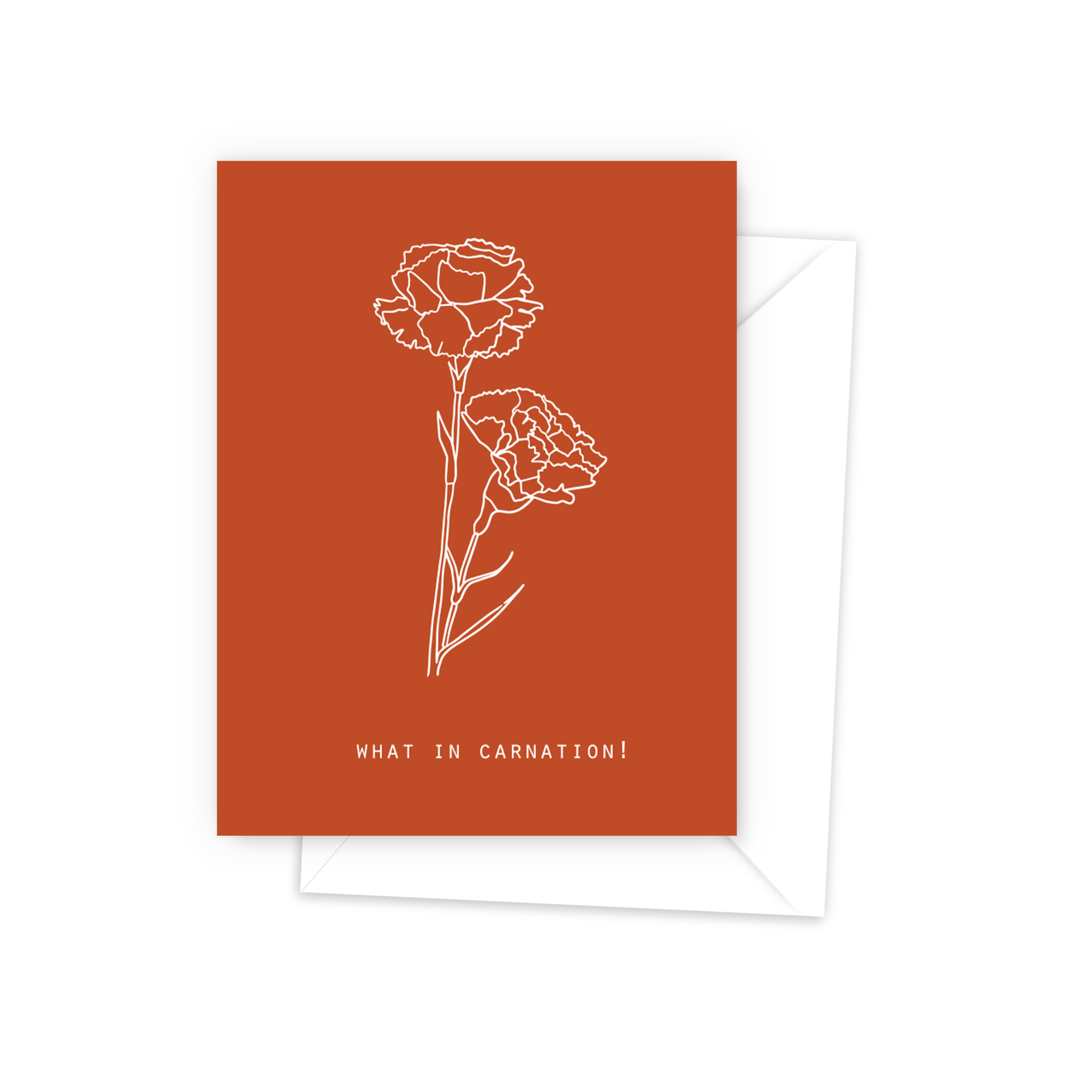 CARNATION - AC003