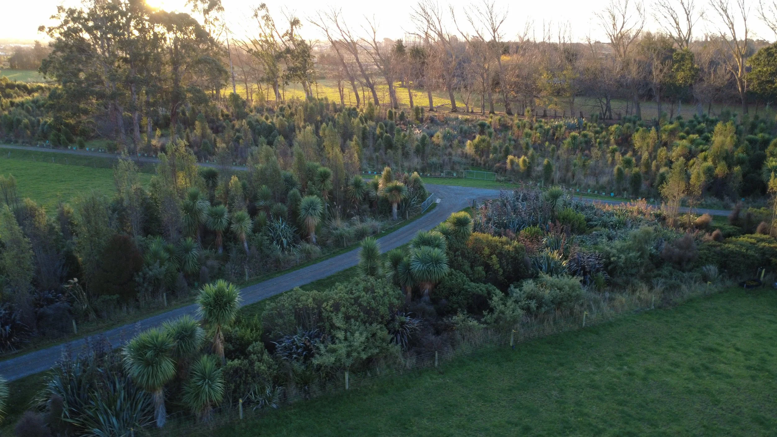 Part of the new adjoining native bush plantings