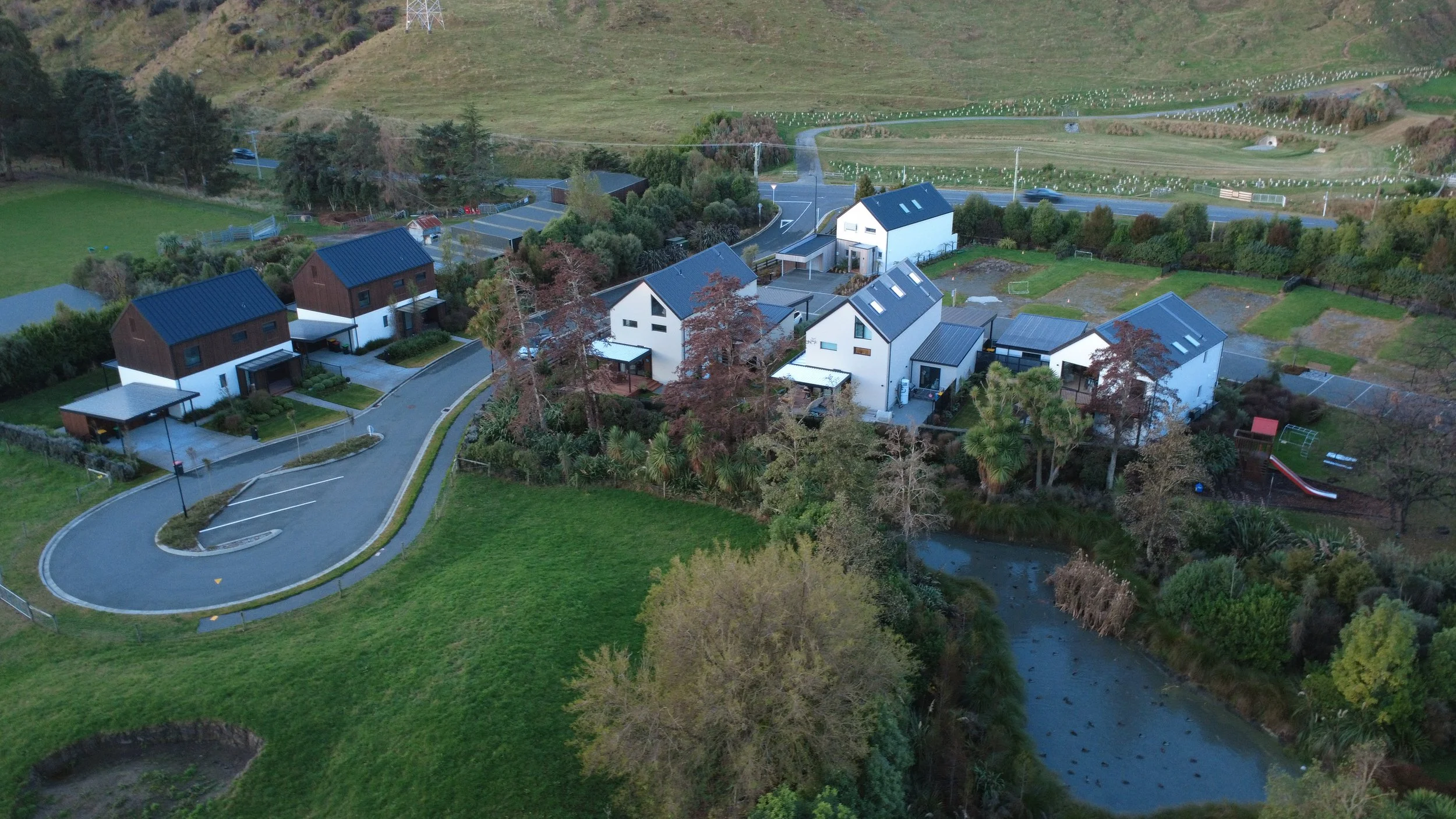 Establishing wetlands with native plantings