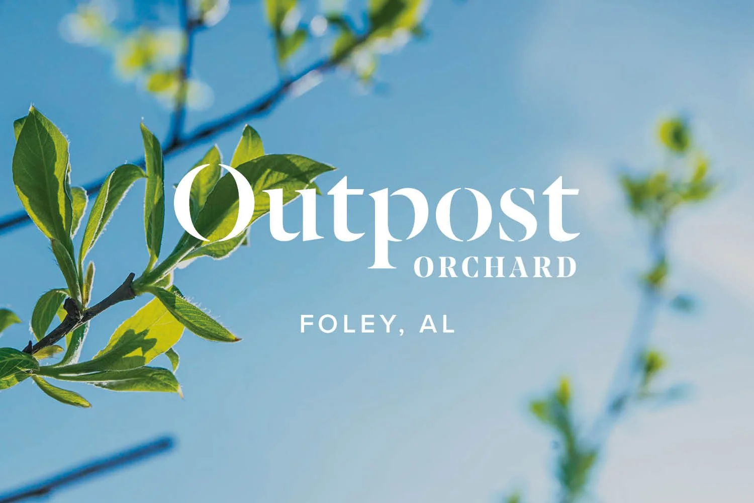 Outpost Rentals Outpost Residential