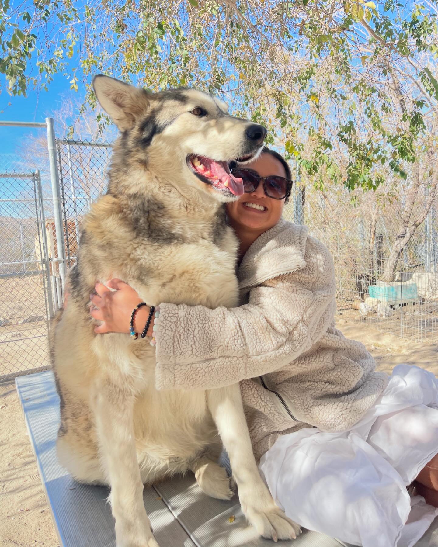 Dream manifested, cuddle time with the sweetest wolf, Little Dancer 🥰🐺✨ #wolfsanctuary