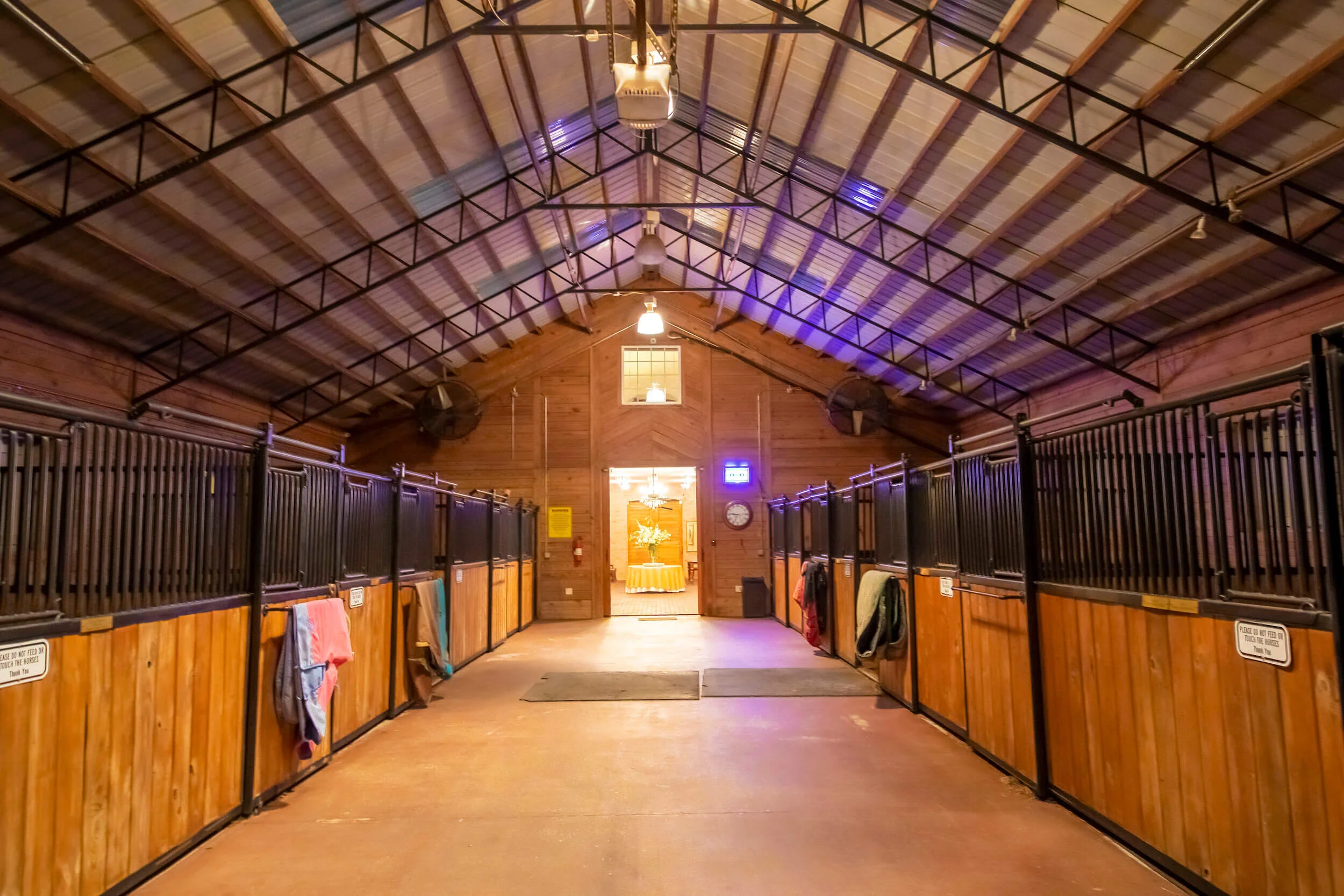 Boarding & Stables — Laurel Hill Farm Weddings & Events Horse