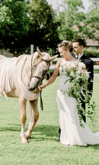groom bride horse.png