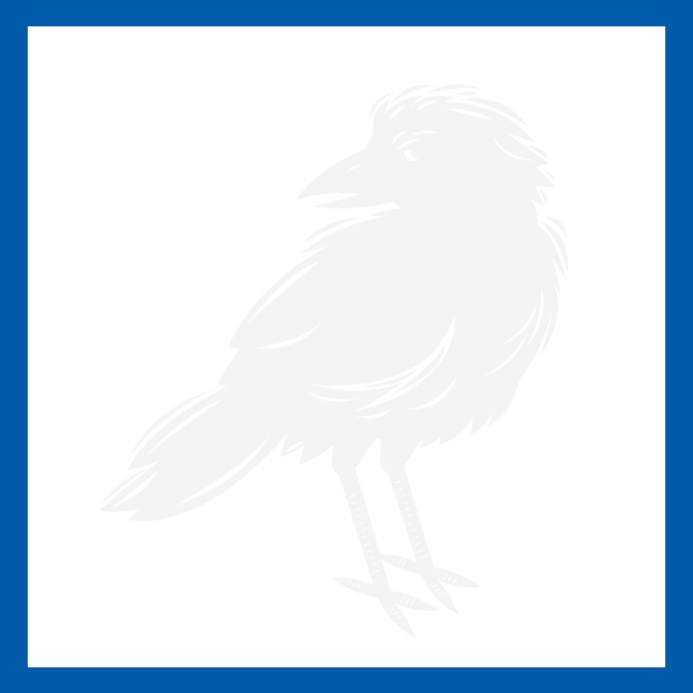 Bird Control & Removal Services — Whitmore Pest & Wildlife Control