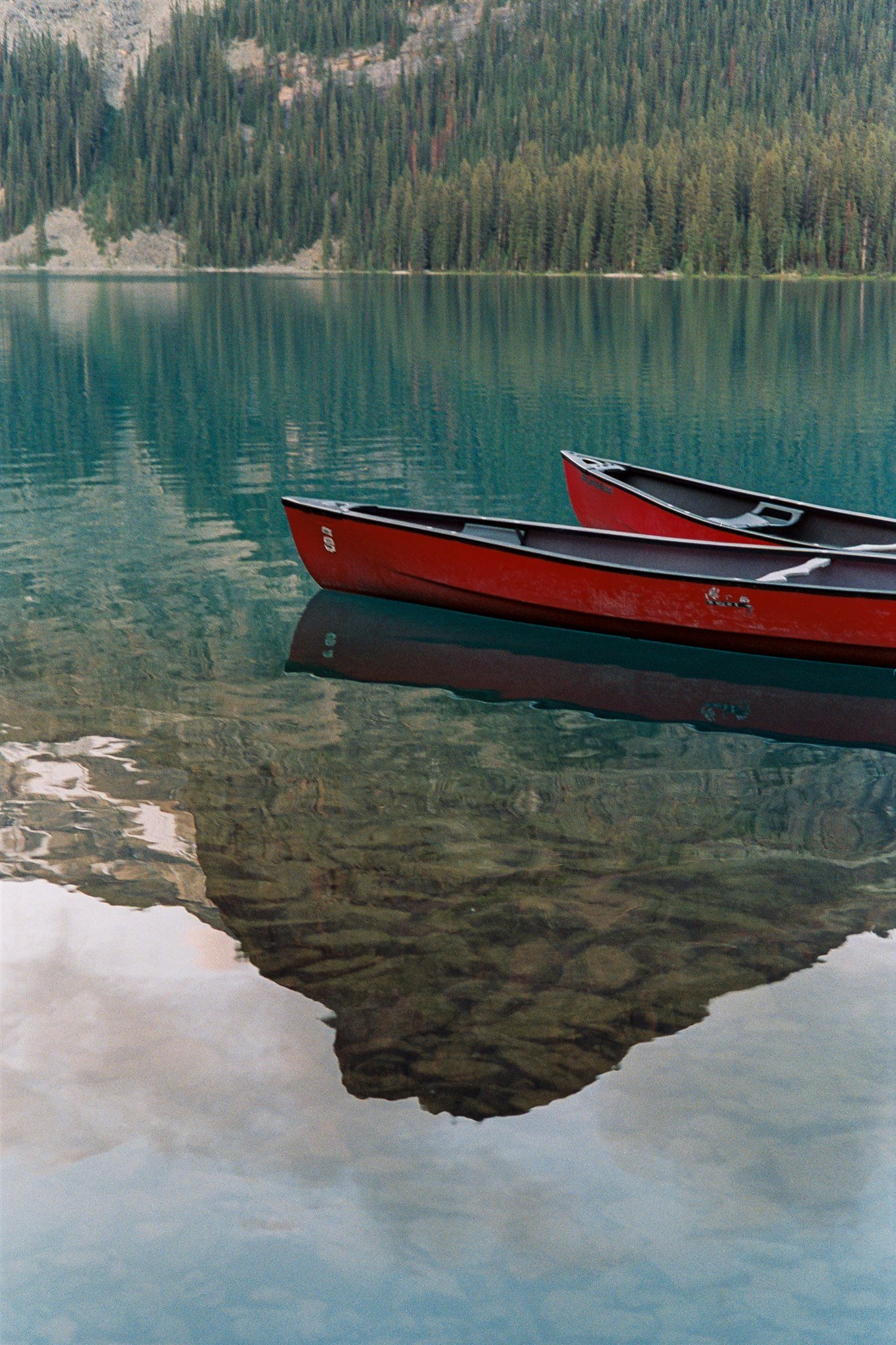 Lake Ohara Proofs_-28.jpg