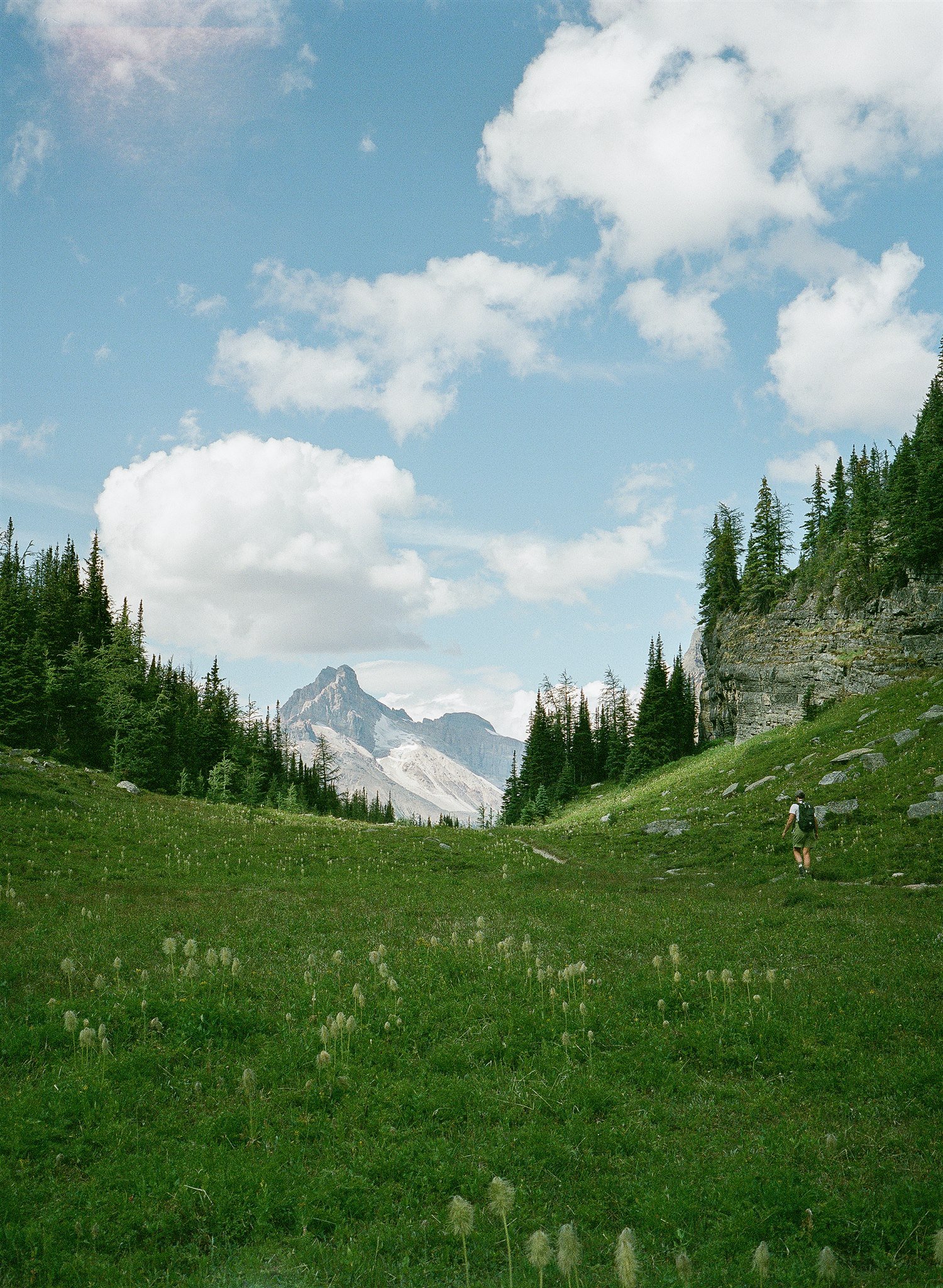 Lake Ohara Proofs_-889.jpg