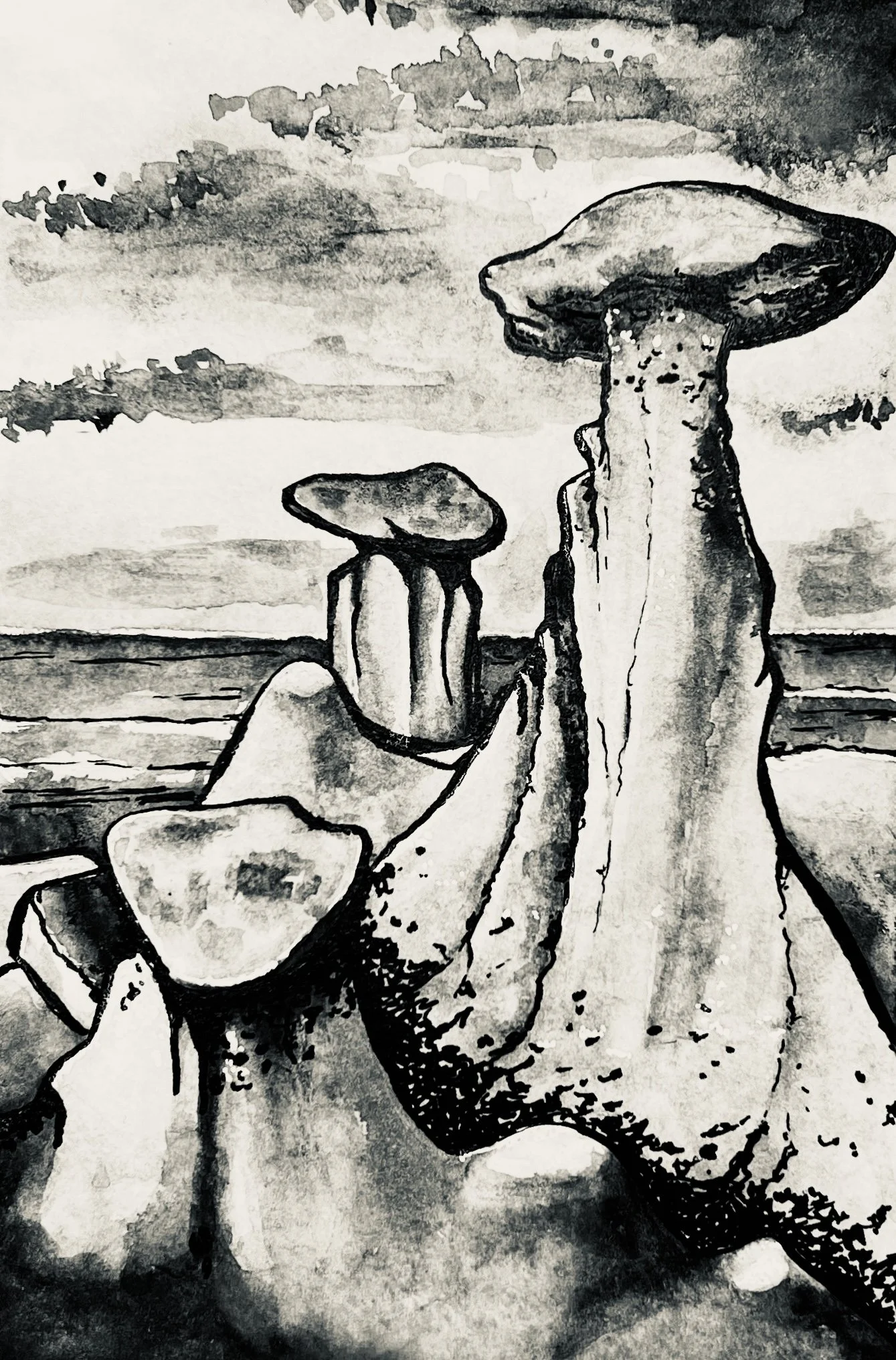 Badlands turquoise rectangle scheme - Danielle Hood.jpeg