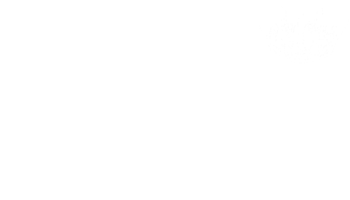 Miss Texas Vol Logo.png