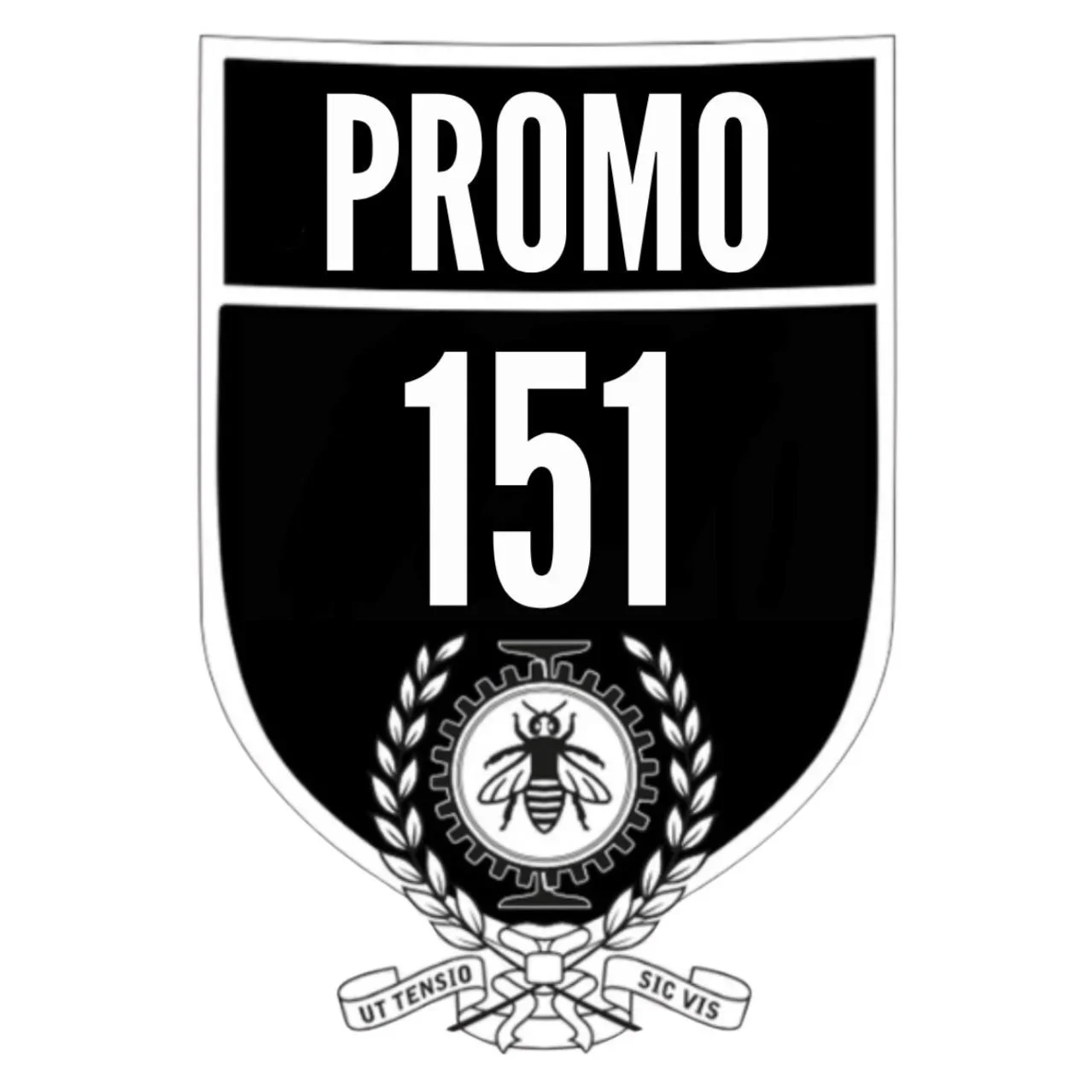 PROMO 151