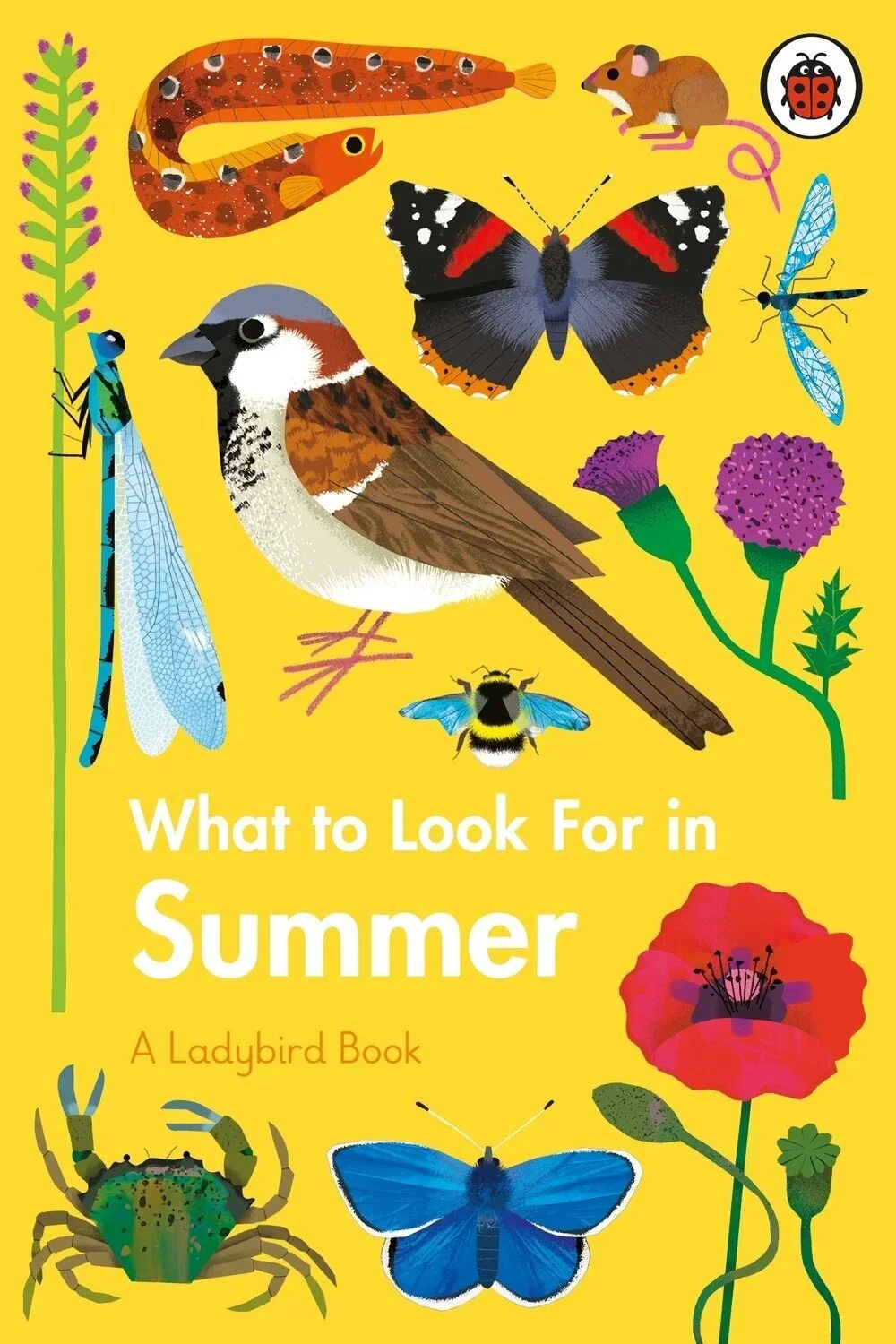 Book cover titled "What to Look For in Summer: A Ladybird Book," featuring illustrations of a bird, butterfly, dragonfly, bee, crab, moth, ladybug, and flowers on a yellow background.
