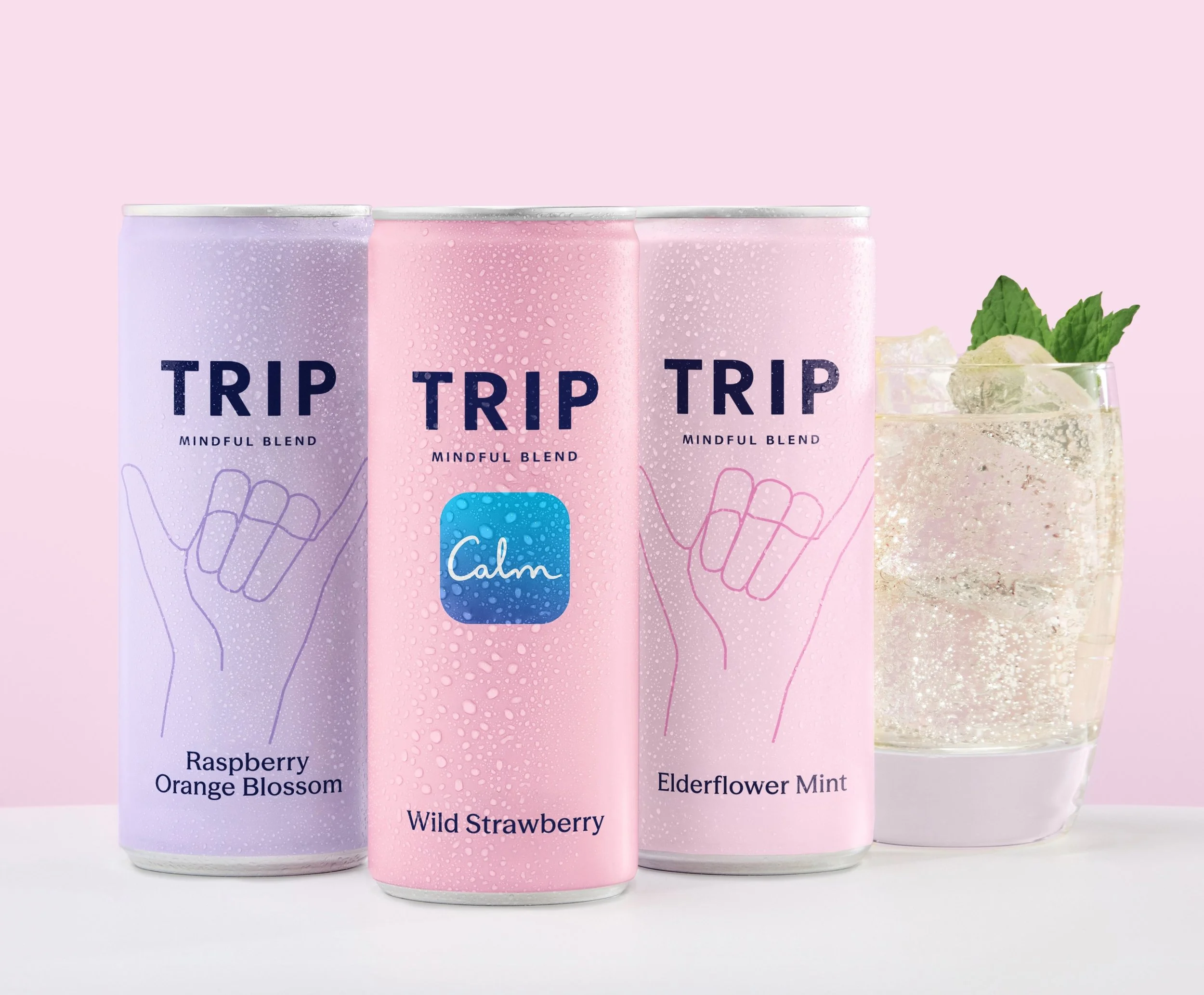 TRIP main image.jpg