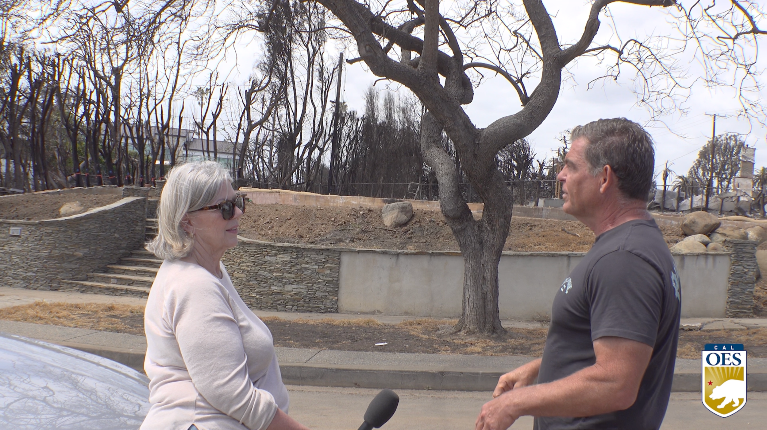 Palisades Survivor Stories