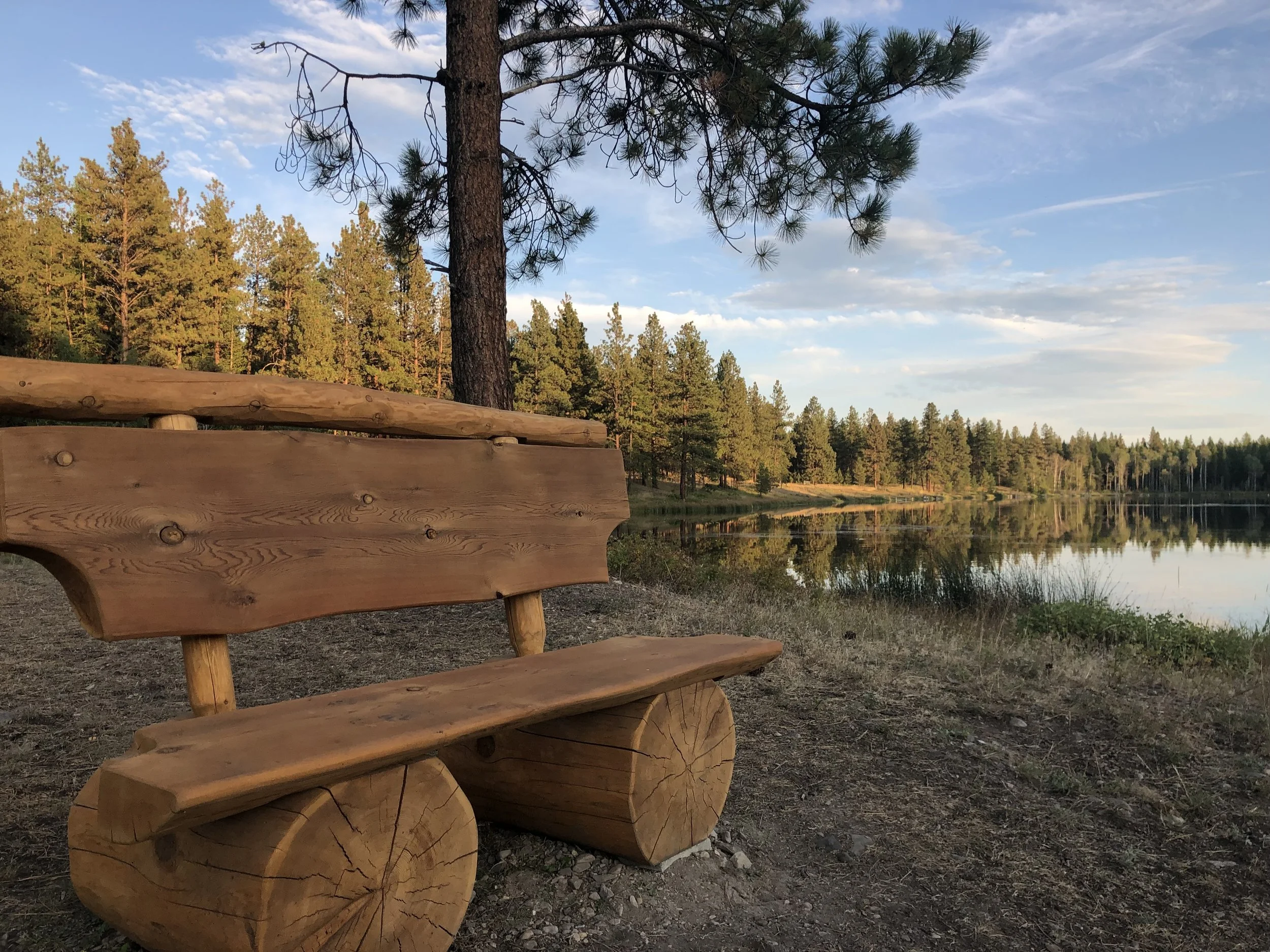 A wooden bench with a natural finish by a lakeshore, surrounded by tall pine trees, with a clear blue sky and some clouds reflecting in the water.