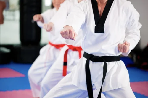 people doing martial arts in a studio