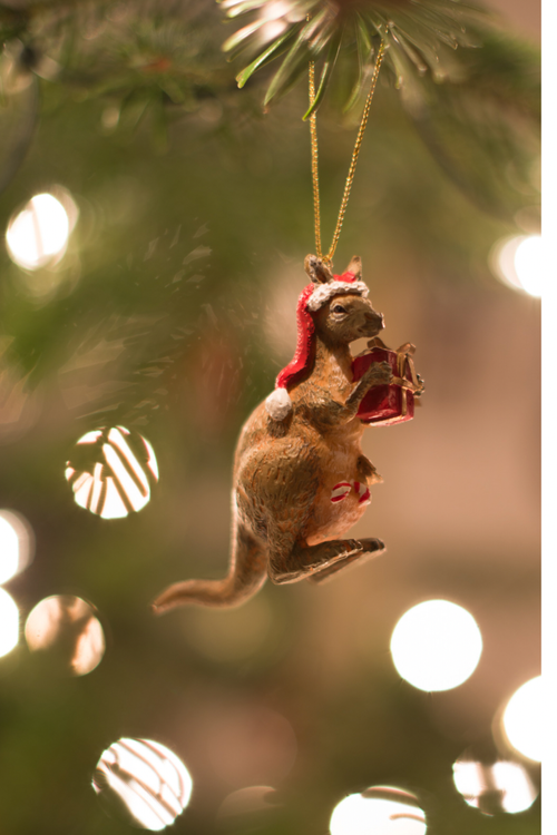 Christmas in Australia