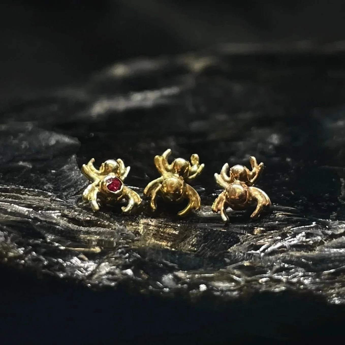Spider.jpg