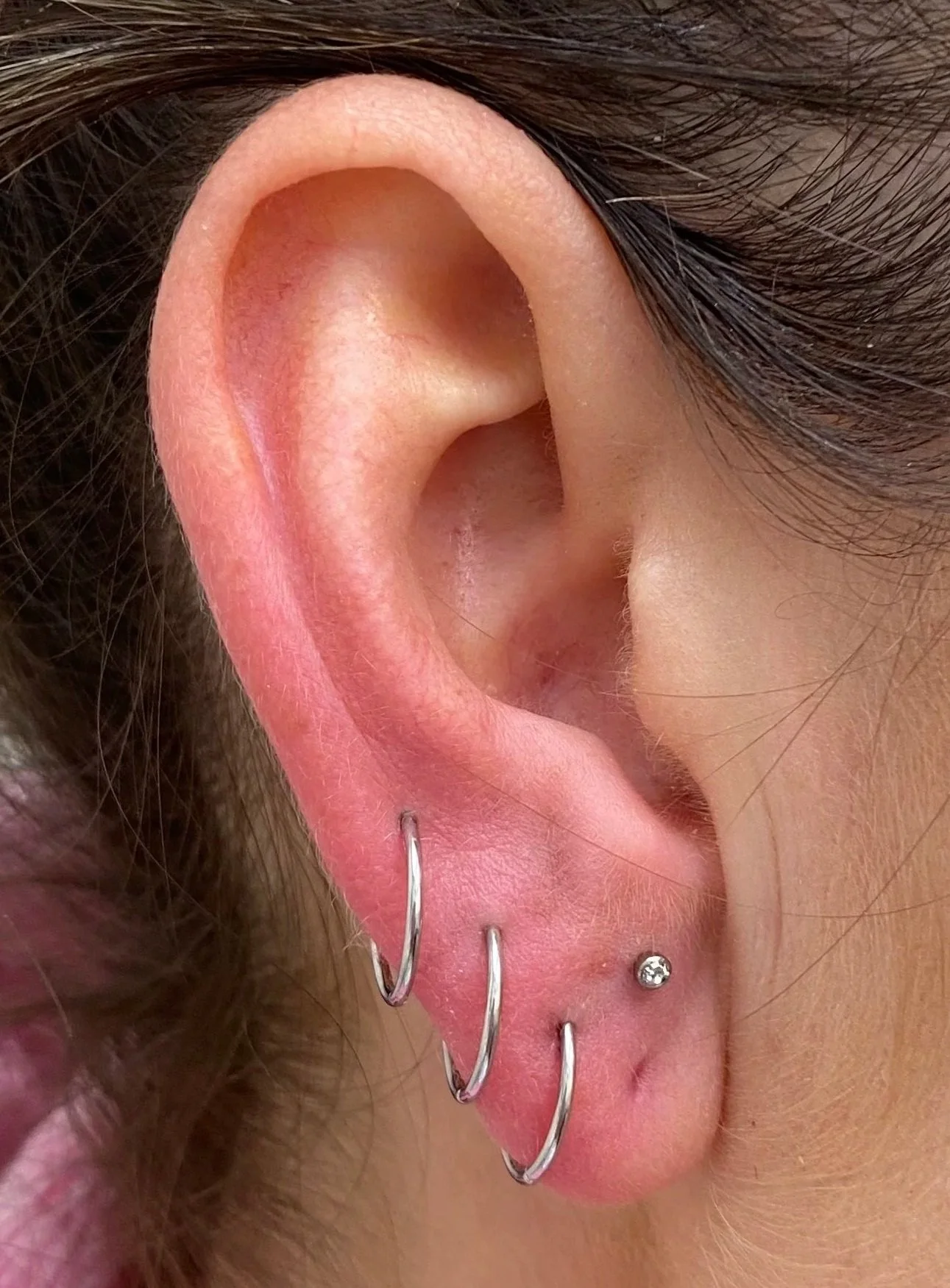 Close-up of a person's ear with multiple silver earrings, including three hoops and a small stud, with dark brown hair partially covering the ear.