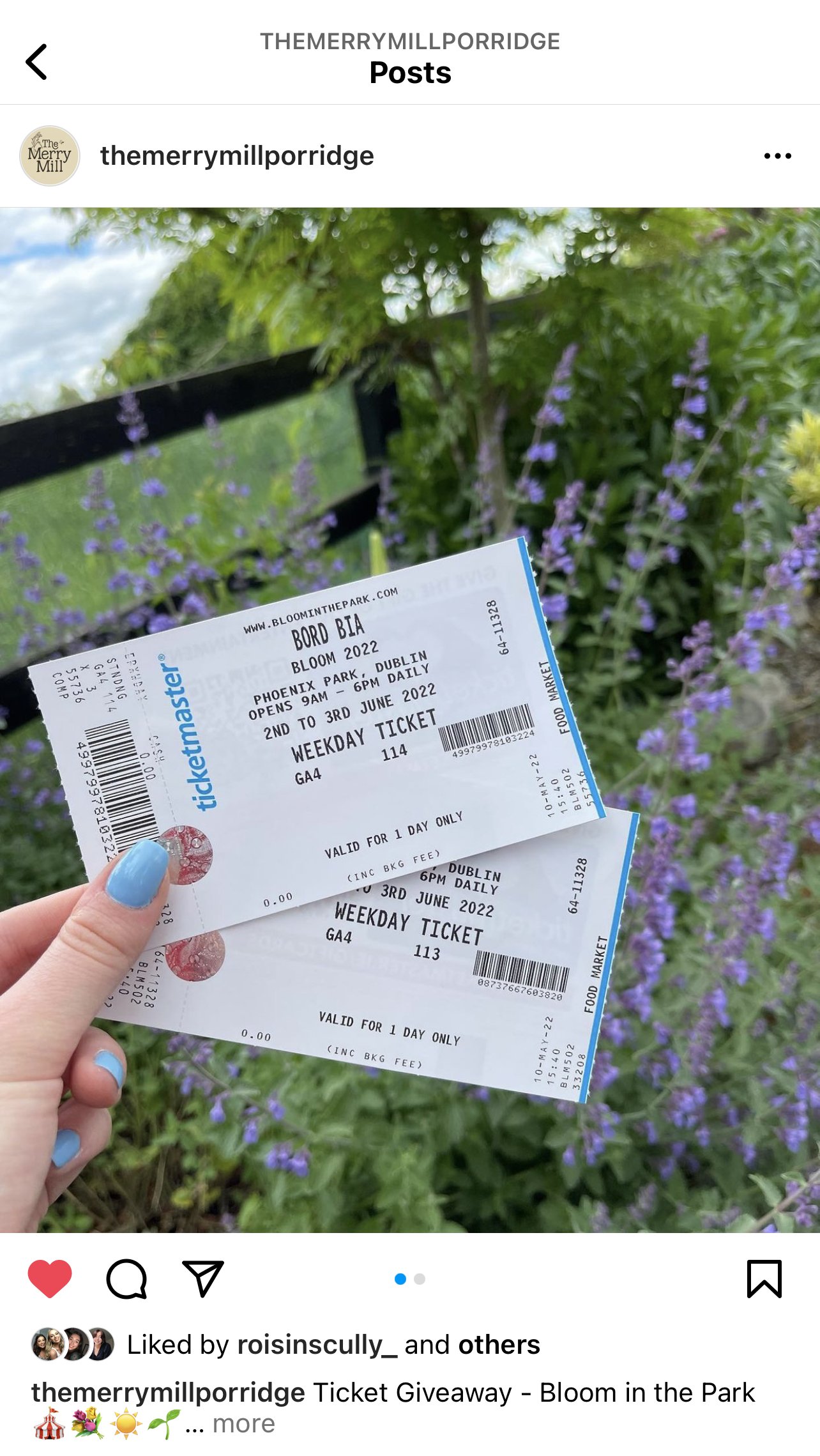 Tickets Bloom 2024, Dublin – Lauryn Hill and The Fugees to play Dublin ...