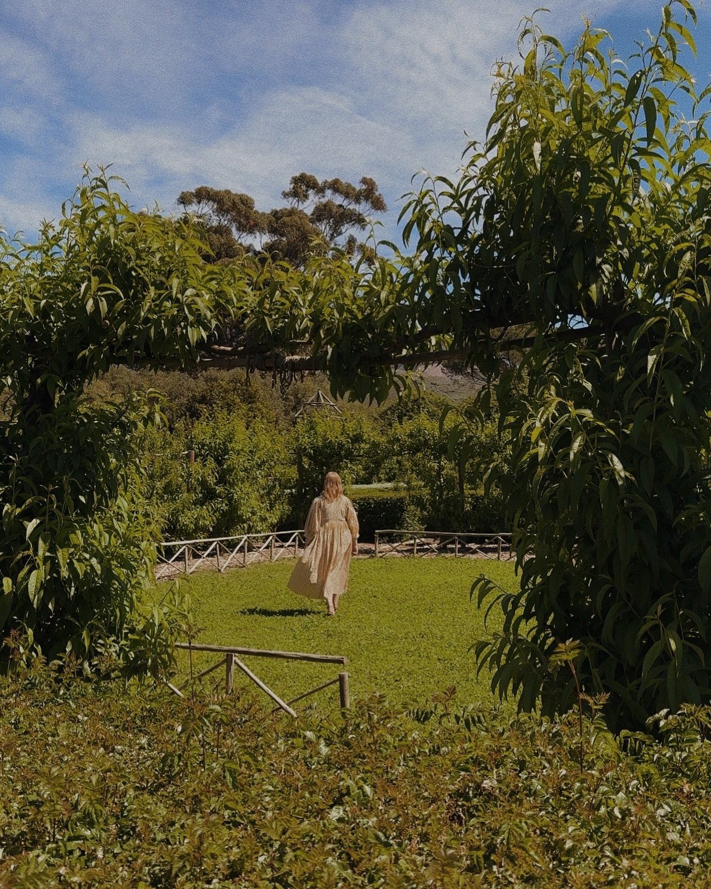 Find me in the garden of Babylonstoren. ✨