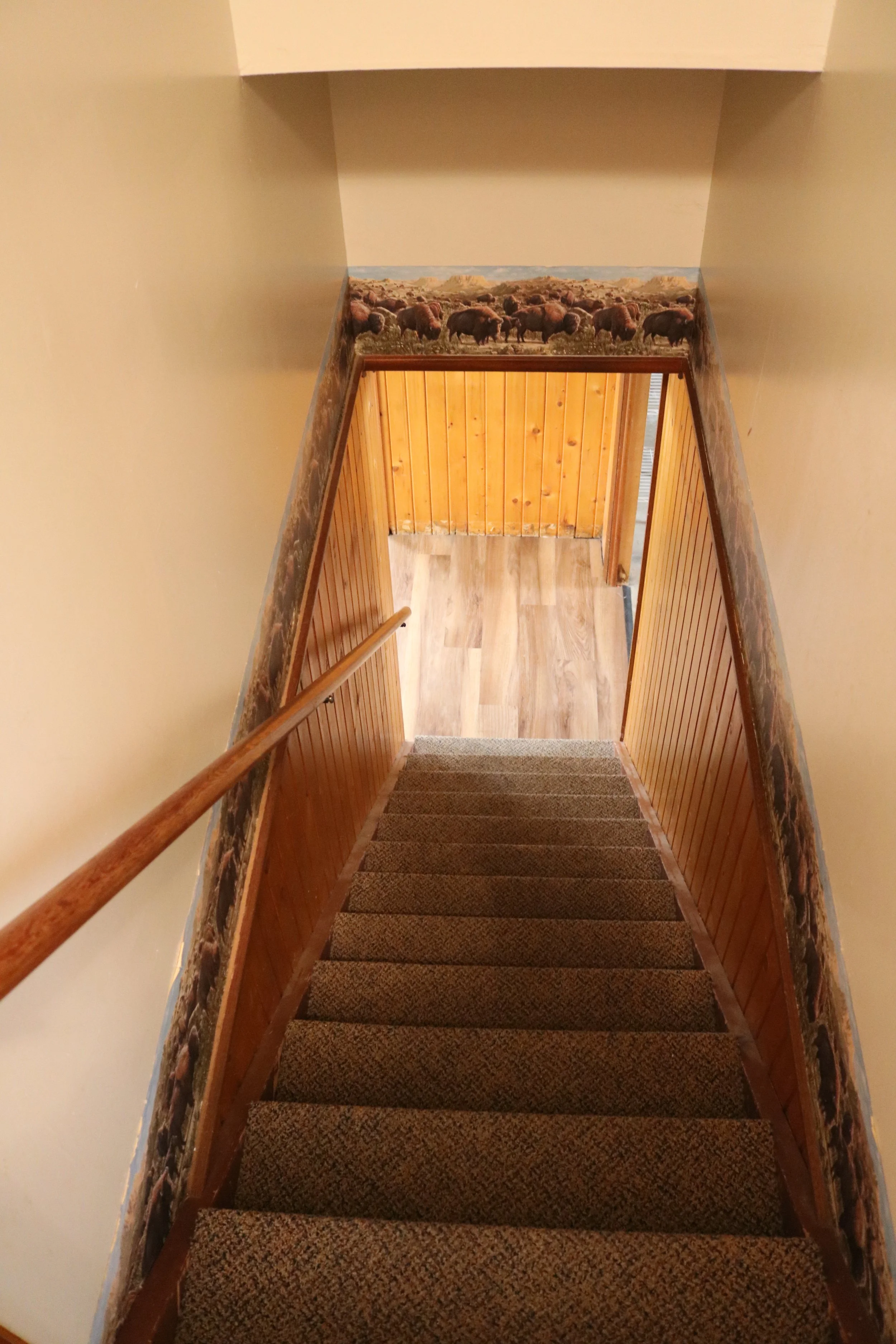 Carpeted stairs with wooden paneling and a bison-themed wallpaper border.