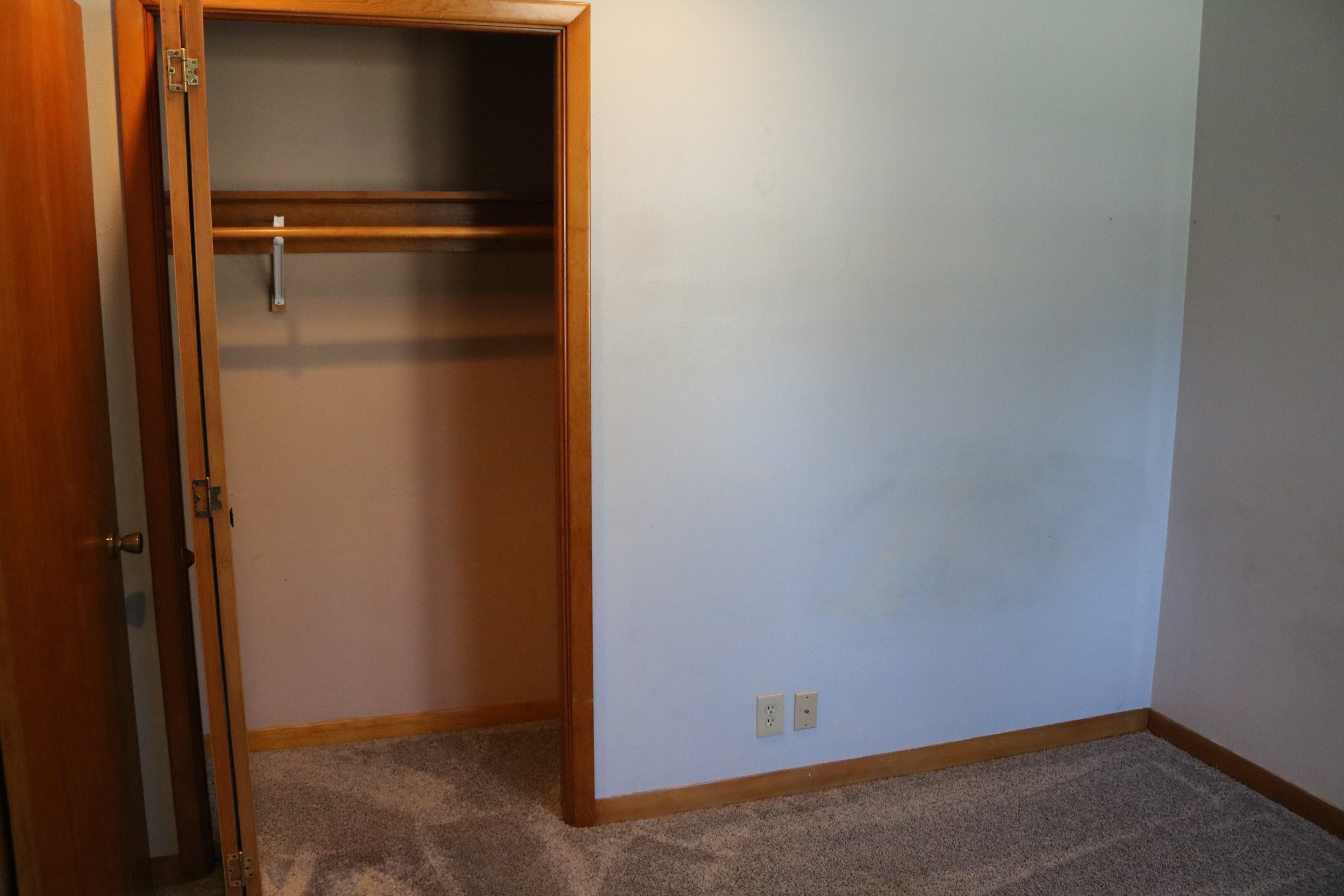 Empty closet with wooden door, carpeted floor, and pale blue walls.