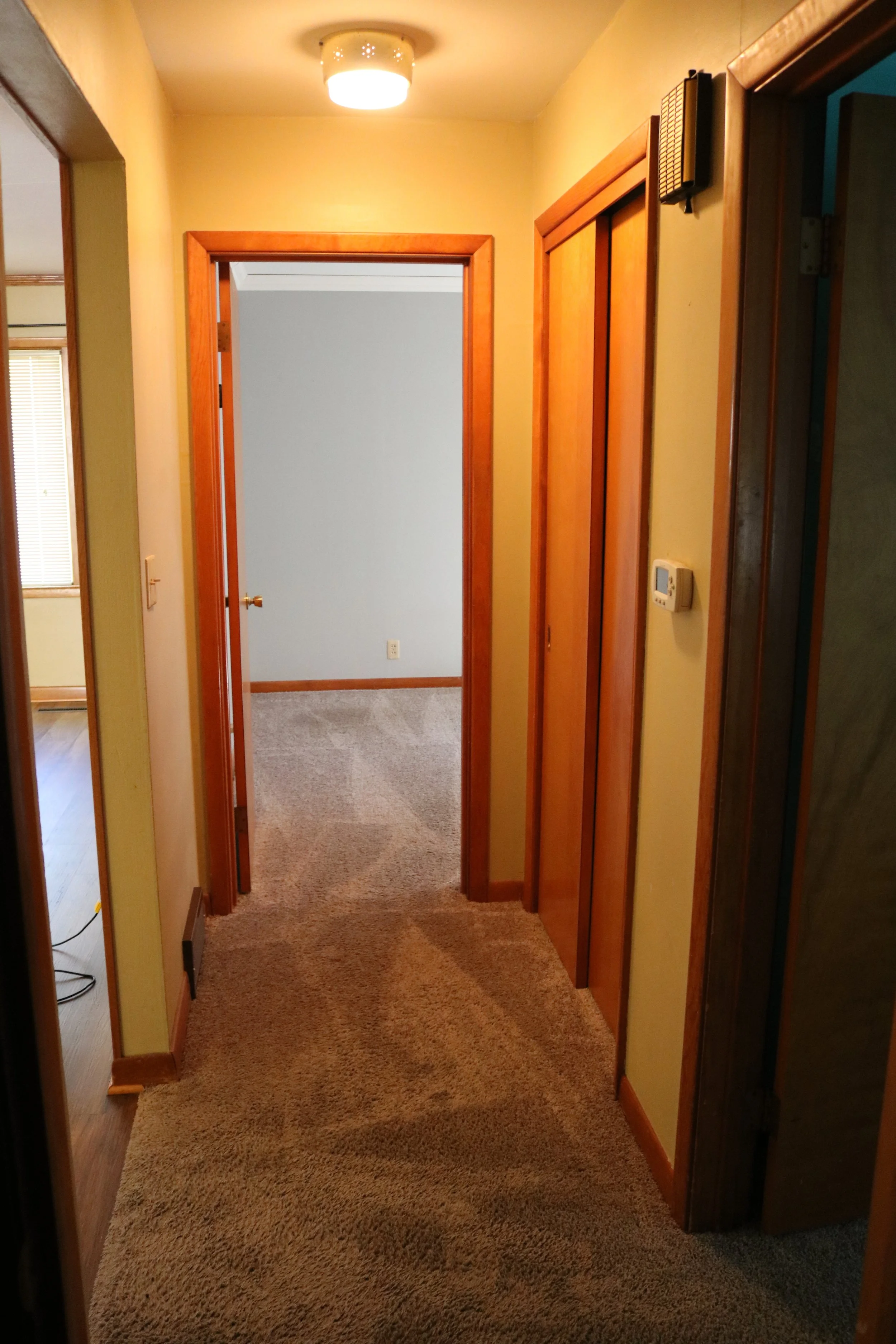 Interior hallway with carpet, wooden doors, and a light fixture on the ceiling.