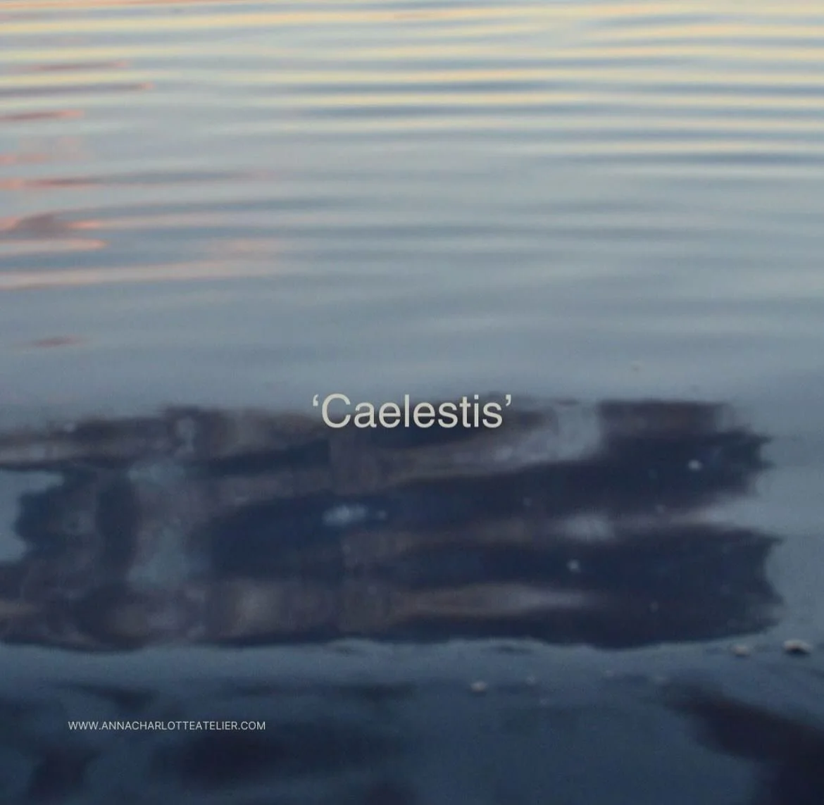 Caelestis ✨ — where the cosmos meets the sea. Handwoven in wool and flax, this unique piece unveils deep blues and violets, capturing the ethereal beauty of celestial realms and aquatic depths.
Don’t miss ACA’s latest updates and c