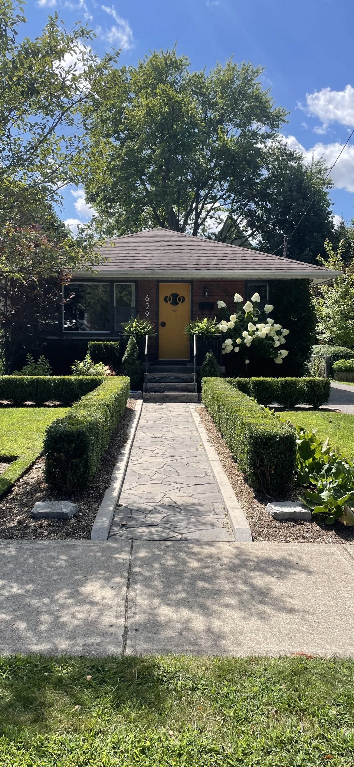 IMG_9751.PNG