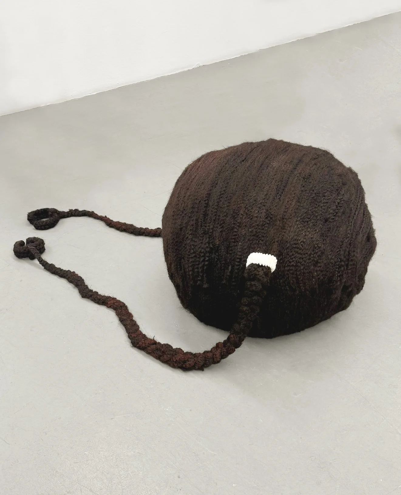 TPWDALW Side copy.jpg