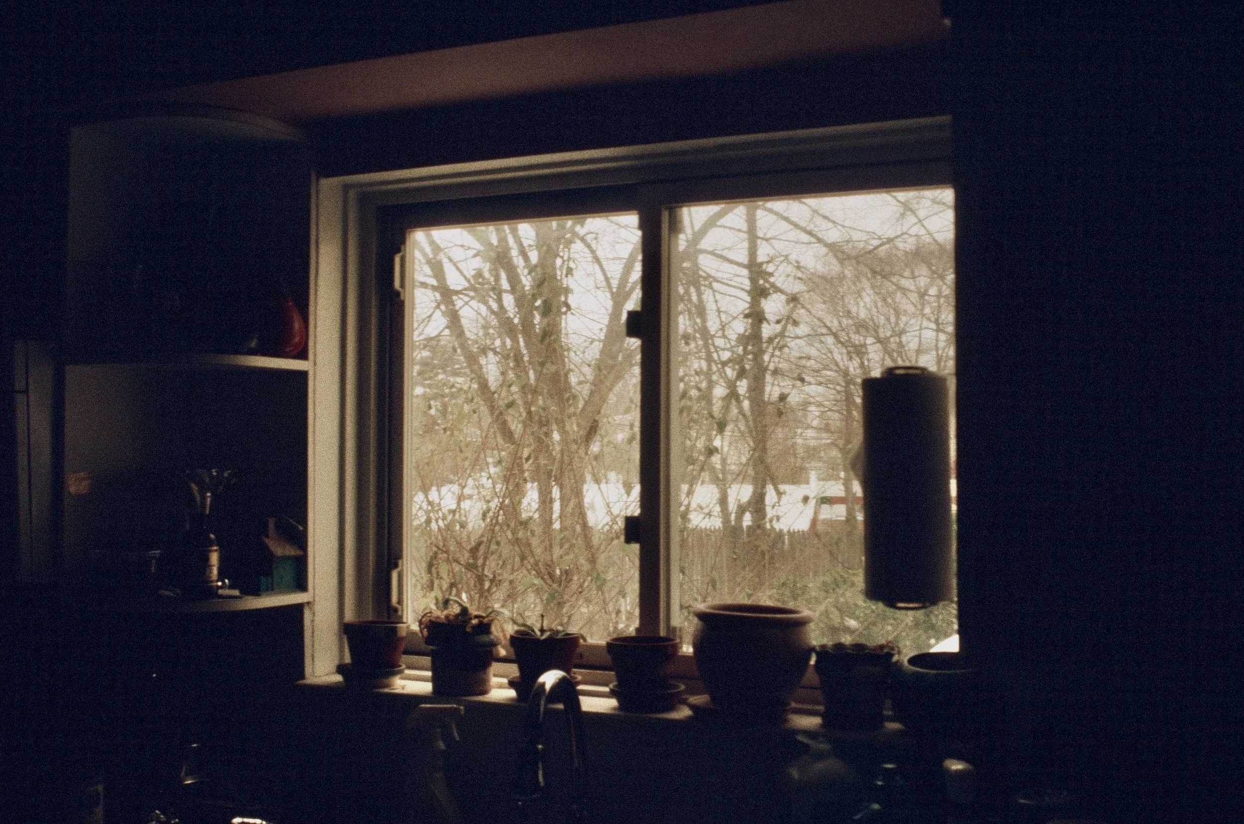 the morning coffee gives its diatribe