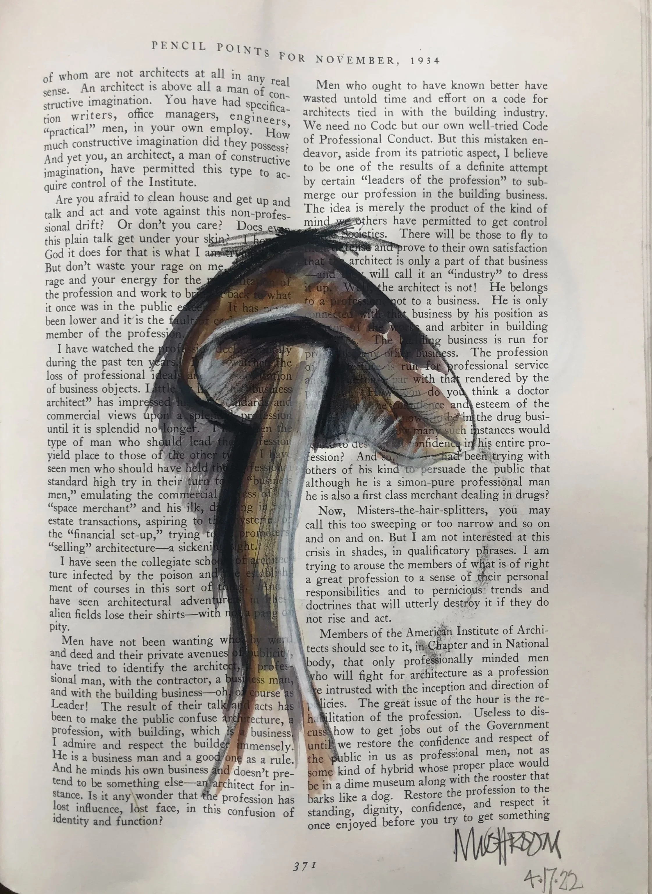 mushroom2.jpg