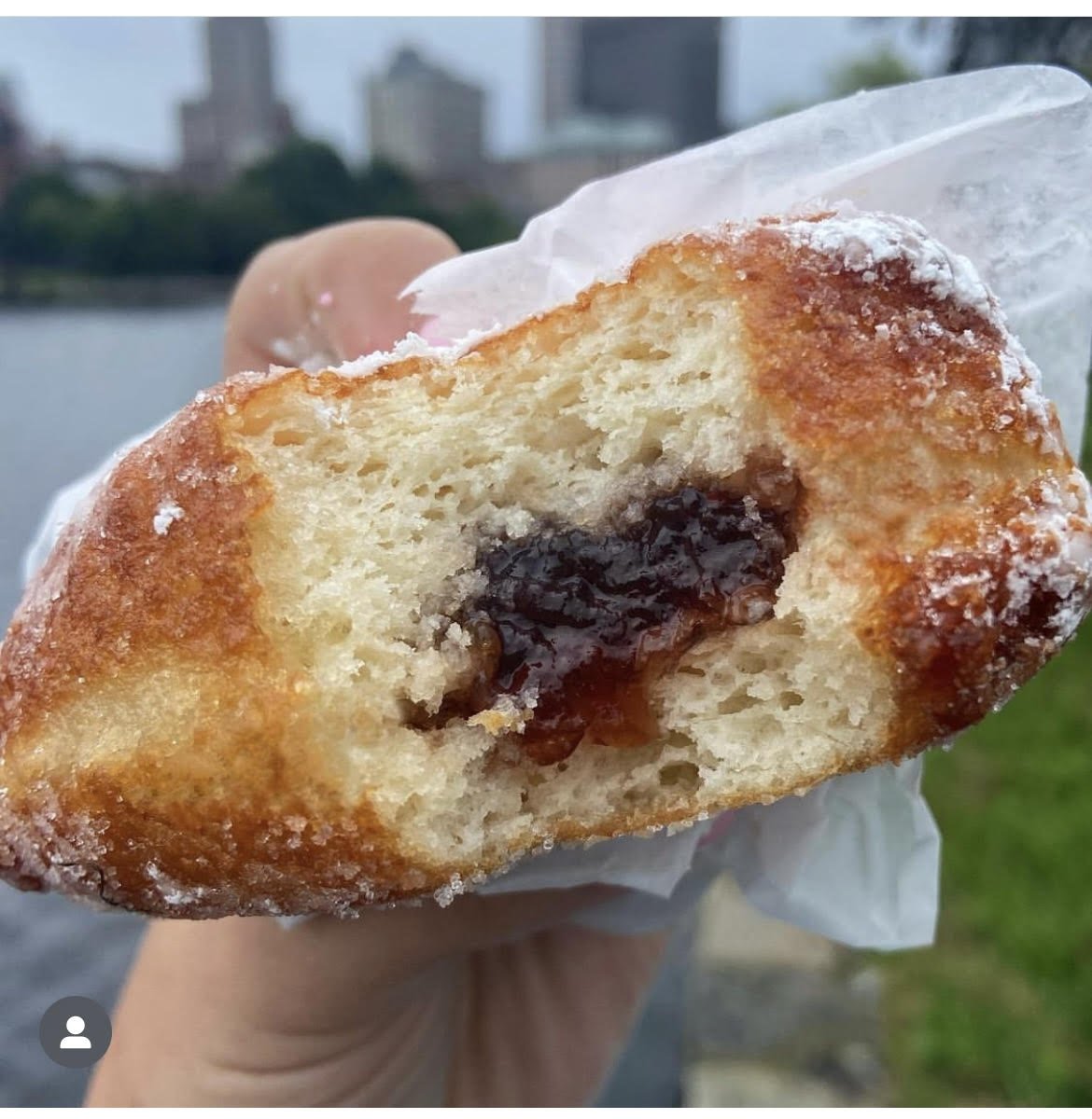 Donut.jpg