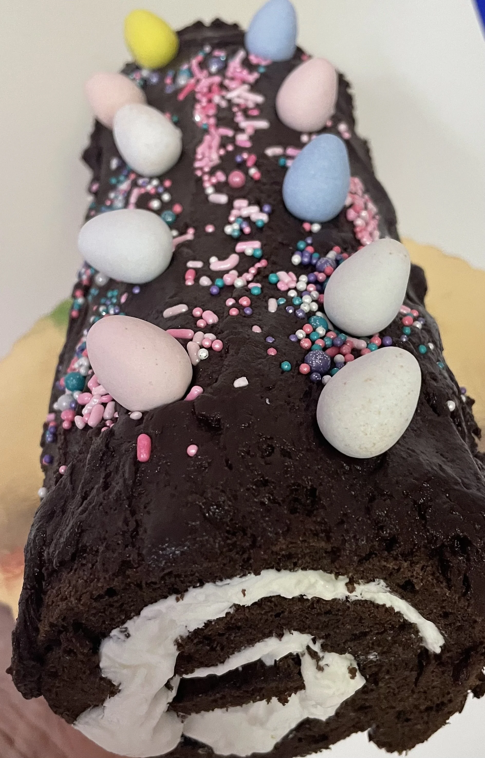 Chocolate Swiss Roll