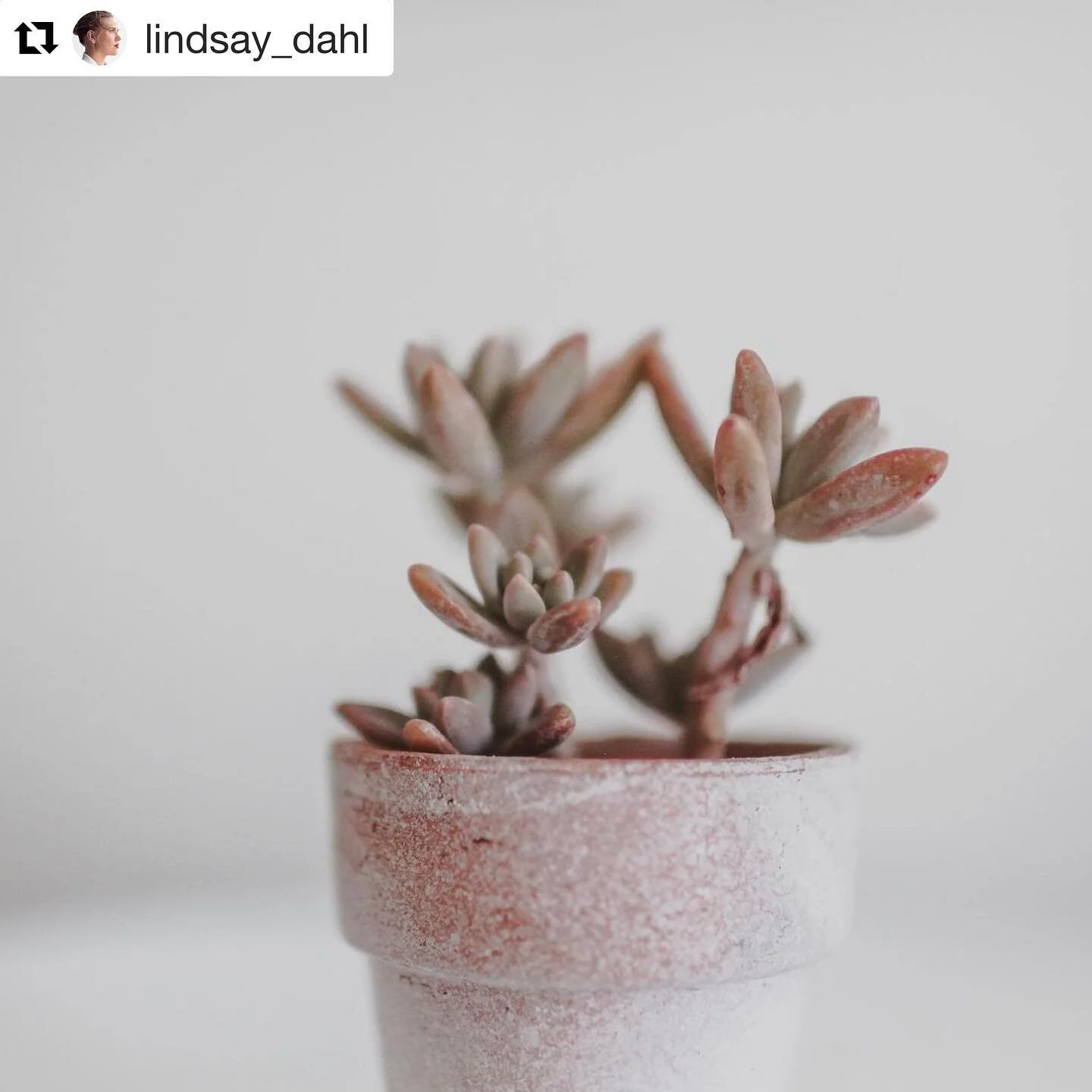 #Repost @lindsay_dahl
・・・
Clean beauty isn&rsquo;t defined, here&rsquo;s how it should be: 

The origins of &ldquo;clean beauty&rdquo; are focused on formulas being absent of harmful ingredients with a sharp focus on ingredient safety, regardless of 