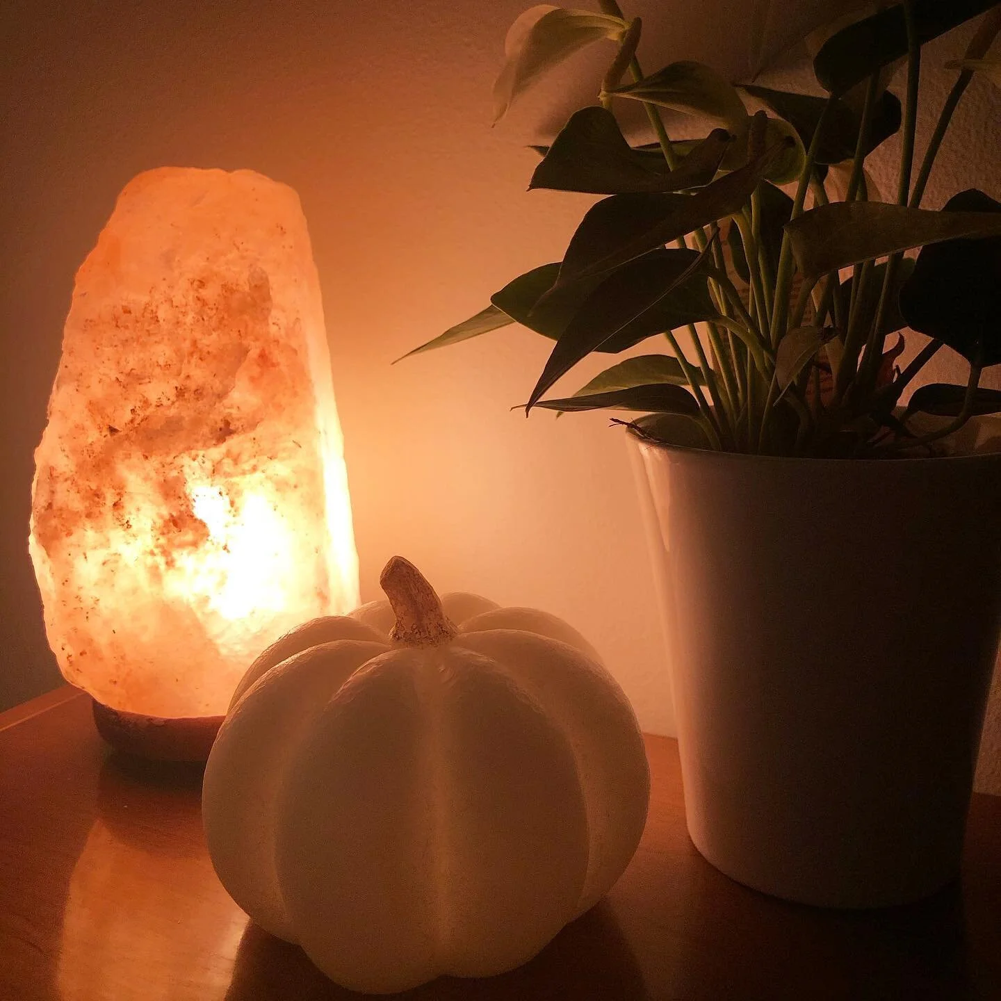 My current fav fall mood accessory: Himalayan Salt Lamps. They add a warm glow to the room and there are some studies that indicate there could also be some health benefits. For me, it&rsquo;s a safer alternative to candles (which I find necessary to