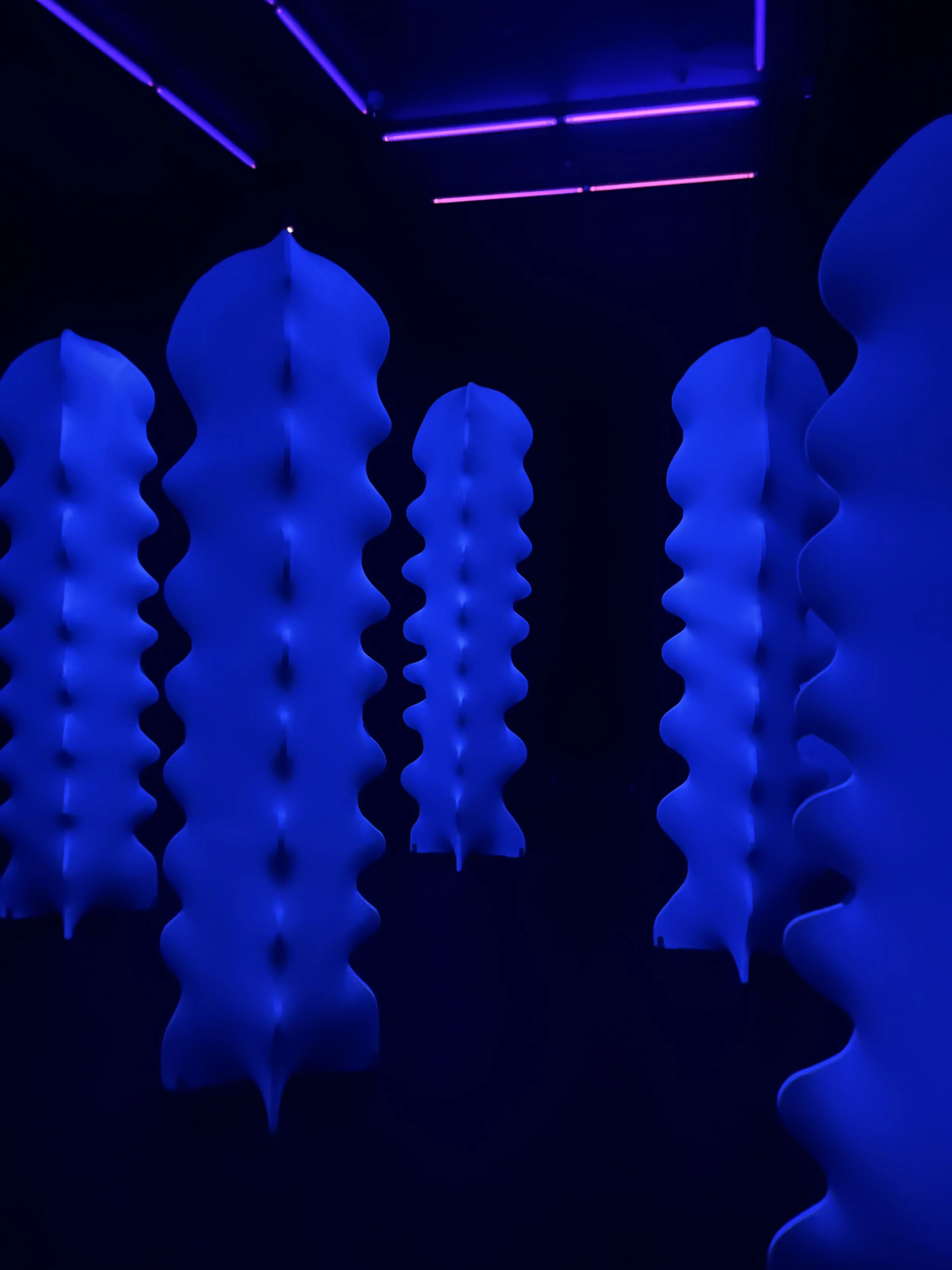 Untitled (feb 23, 2026 @ 9:33pm)