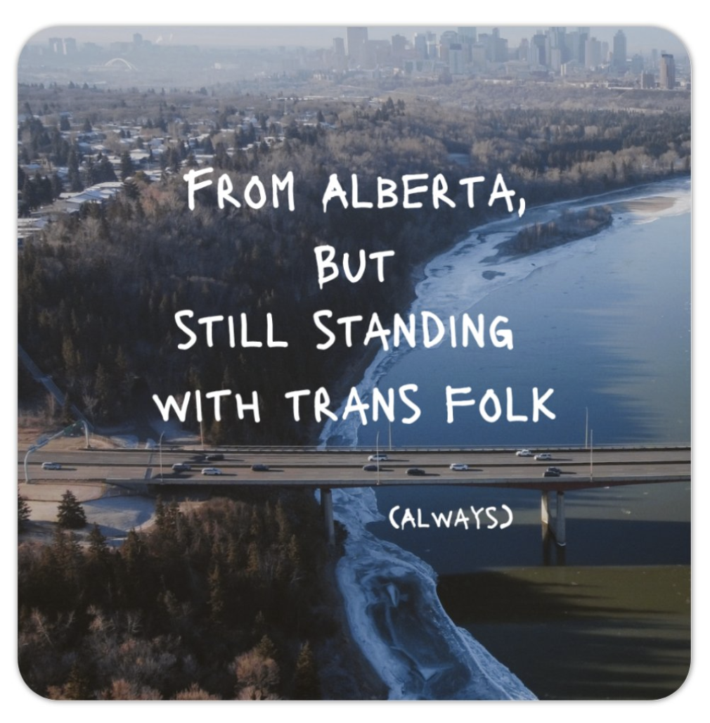 Standing with Trans Folk Sticker - Skipping Stone Fundraiser