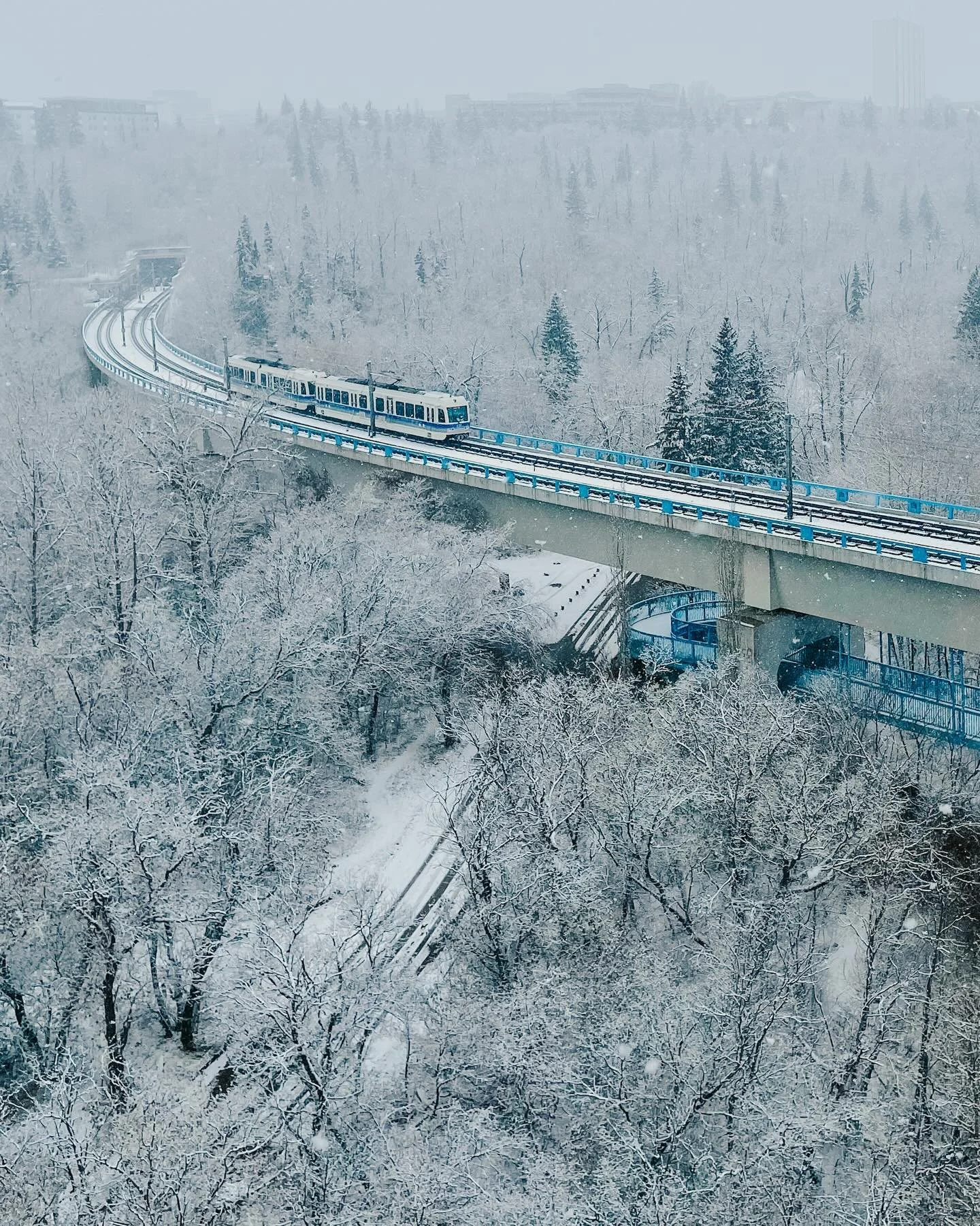 Public transit but make it winter wonderland edition.⁣
🚎❄️⁣
⁣
⁣
&mdash;⁣
#exploreedmonton #travelalberta #edmonton #yegrivervalley #yeg #edmontonalberta #yeggers #yegphotographer #imagesofcanada #canada #explorecanada #canada_photolovers #enjoycanad