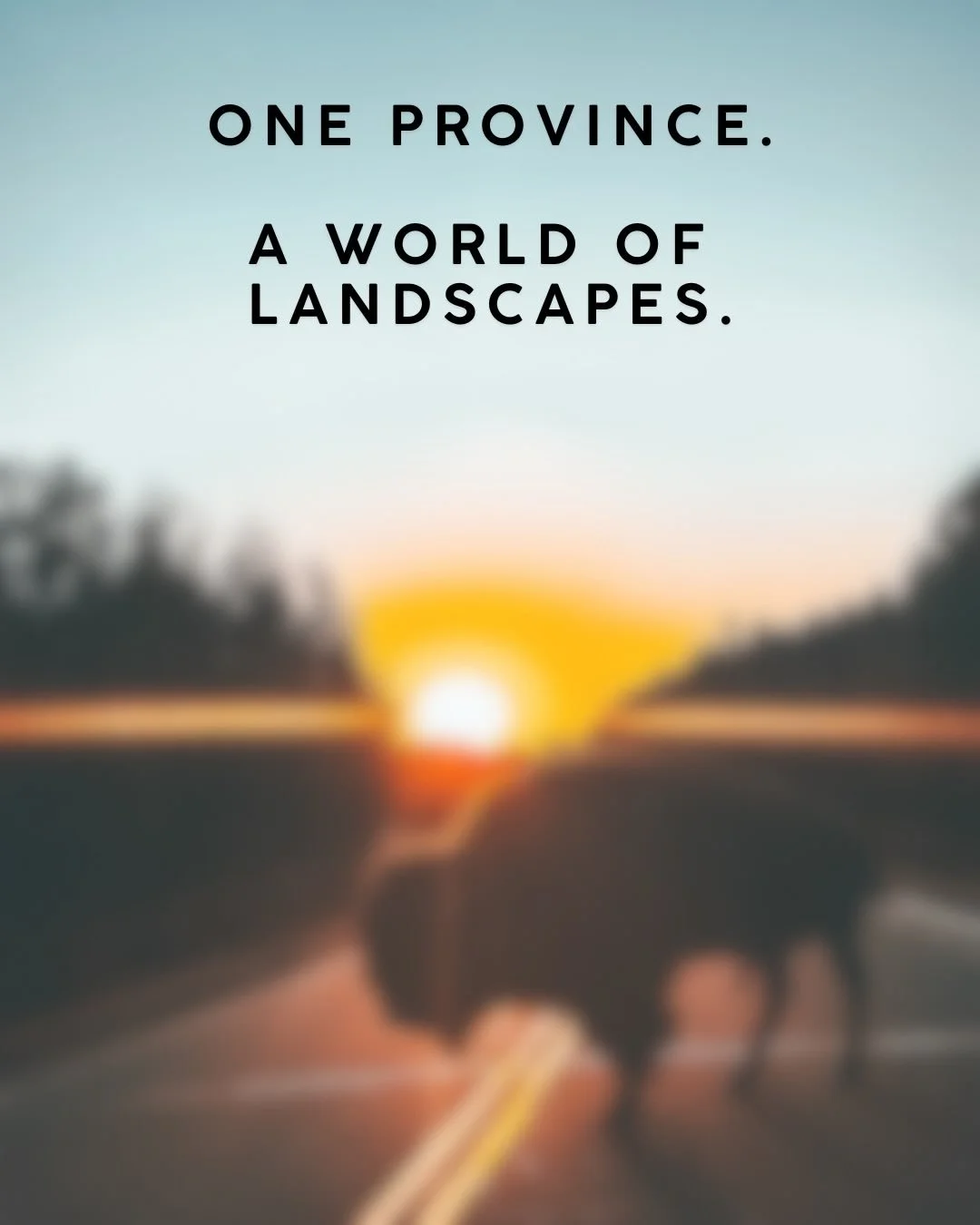 One province, endless surprises.⁣
🌾🏔️⁣
⁣
⁣
⁣
&mdash;⁣
#imagesofcanada #explorecanada #canadaviews #canada #travelalberta #alberta #canada_photolovers #edmontonphotographer #canadavisuals #exploremore #getoutdoors #neverstopexploring⁣