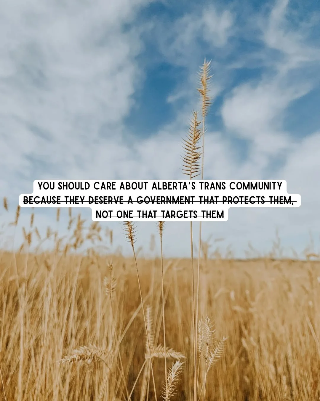 The prairies are wide enough for all of us.⁣
Trans youth deserve safety, dignity, and a home here.⁣
⁣
Trans futures belong on this prairie too. ⁣
🏳️&zwj;⚧️🌾⁣
⁣
⁣
&mdash;⁣
#translivesmatter #transrights #transrightsarehumanrights #protecttranskids