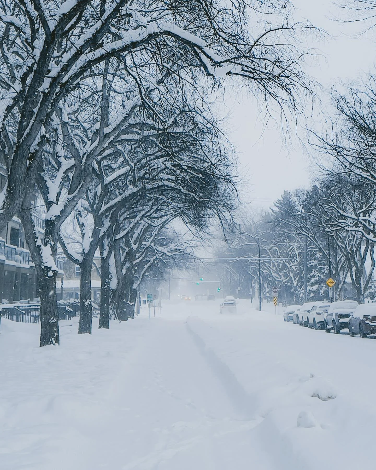 Winter⁣ whiteout.⁣
☃️⁣
⁣
⁣
Look out for one another and stay warm, friends.
⁣If you see a fellow Edmontonian outside dressed inappropriately for the weather, call 211 and press 3. ⁣
🤍⁣
⁣
⁣
⁣
&mdash;⁣
#exploreedmonton #travelalberta #yeg #edmontonalb
